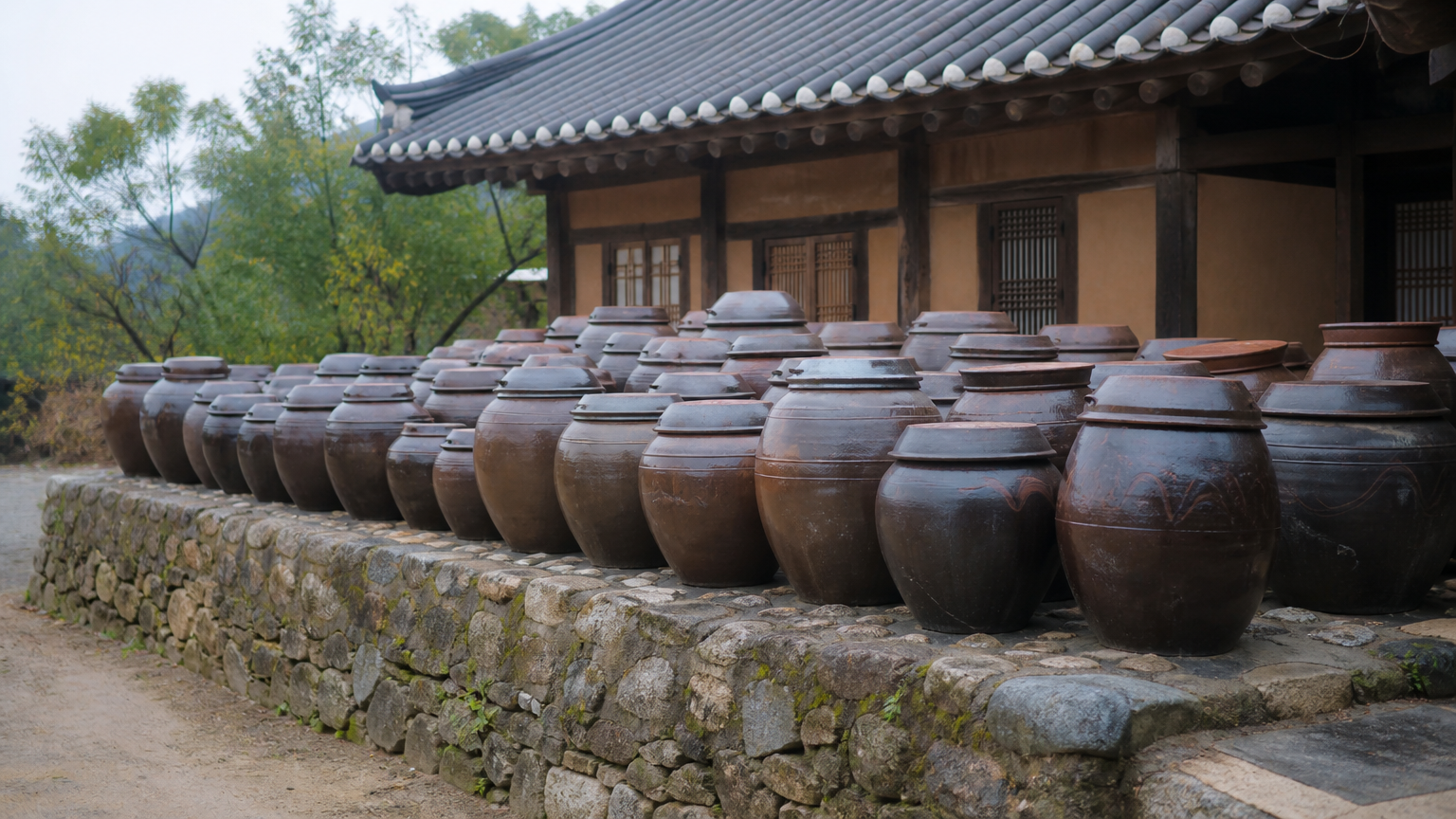 Fermentation crocks. The UNESCO citation is about this, not about one bowl.