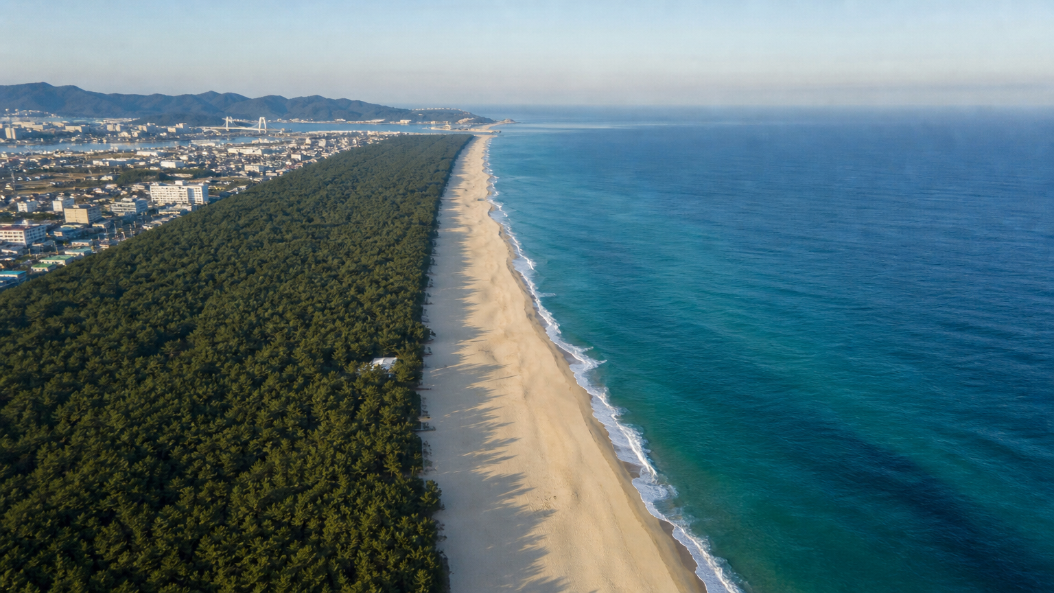 Sand, pine and the East Sea: the shape of the whole coast.