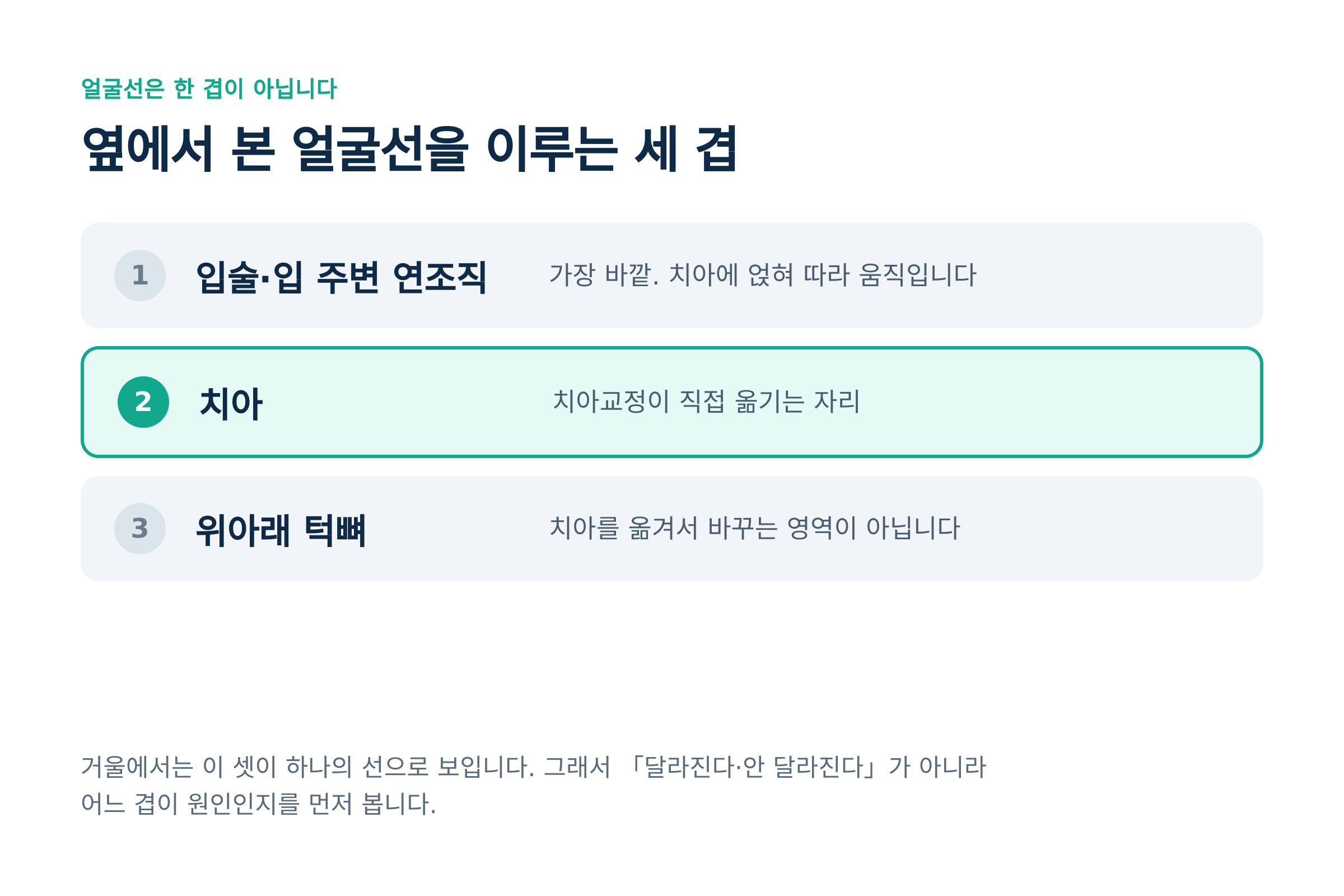 옆에서 본 얼굴선을 이루는 세 겹