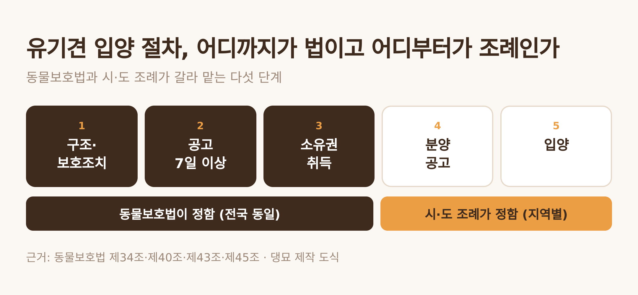 유기견 입양 절차 다섯 단계와 법·조례의 분담. 근거: 동물보호법 제34조·제40조·제43조·제45조 · 댕묘 제작 도식