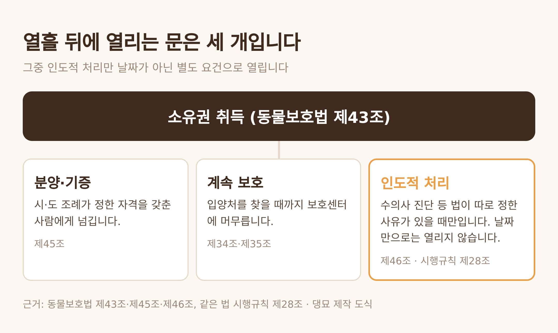 소유권 취득 이후 갈리는 세 갈래. 근거: 동물보호법 제43조·제45조·제46조 및 같은 법 시행규칙 제28조 · 댕묘 제작 도식