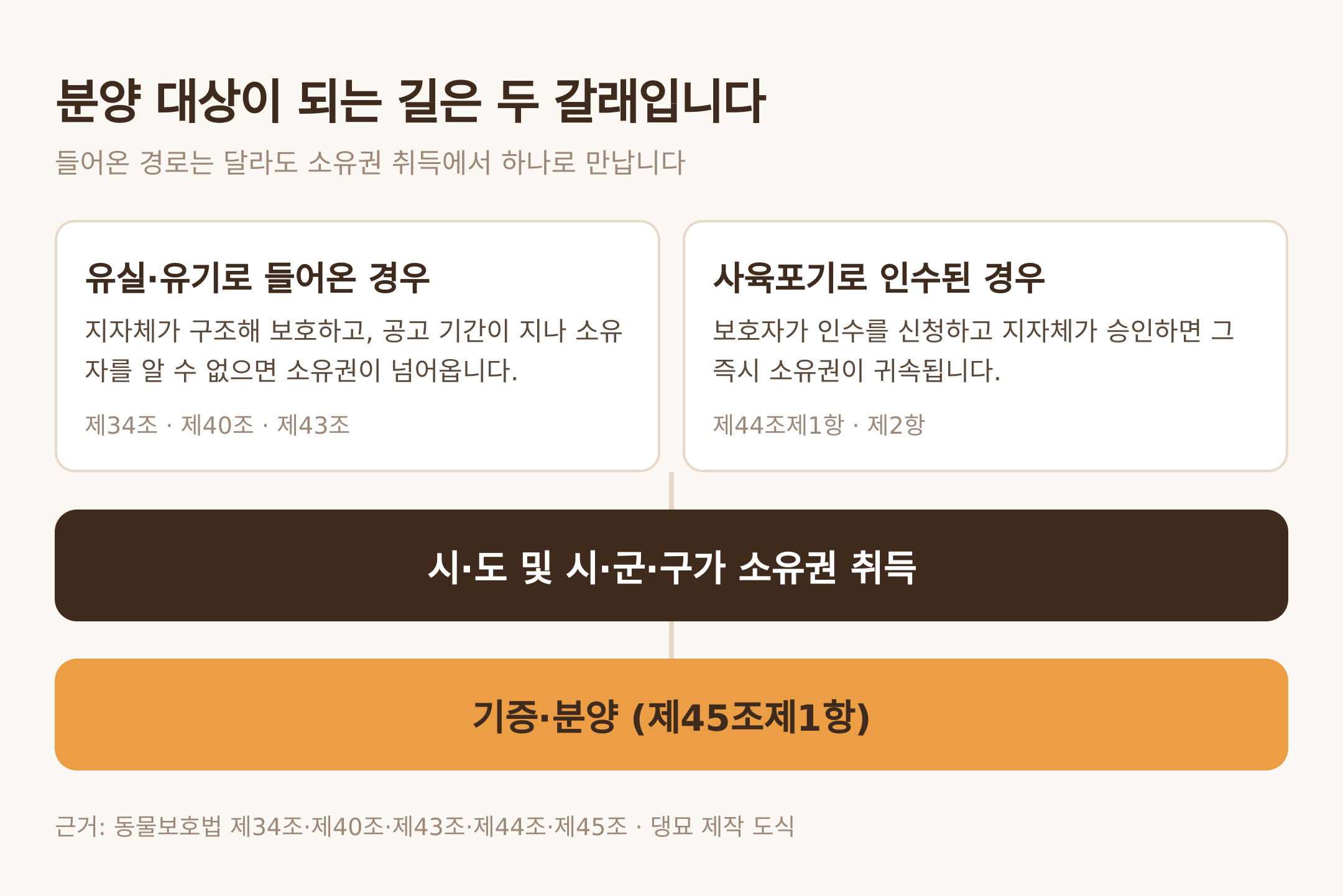 분양 대상이 되는 두 갈래 경로. 근거: 동물보호법 제43조·제44조·제45조 · 댕묘 제작 도식