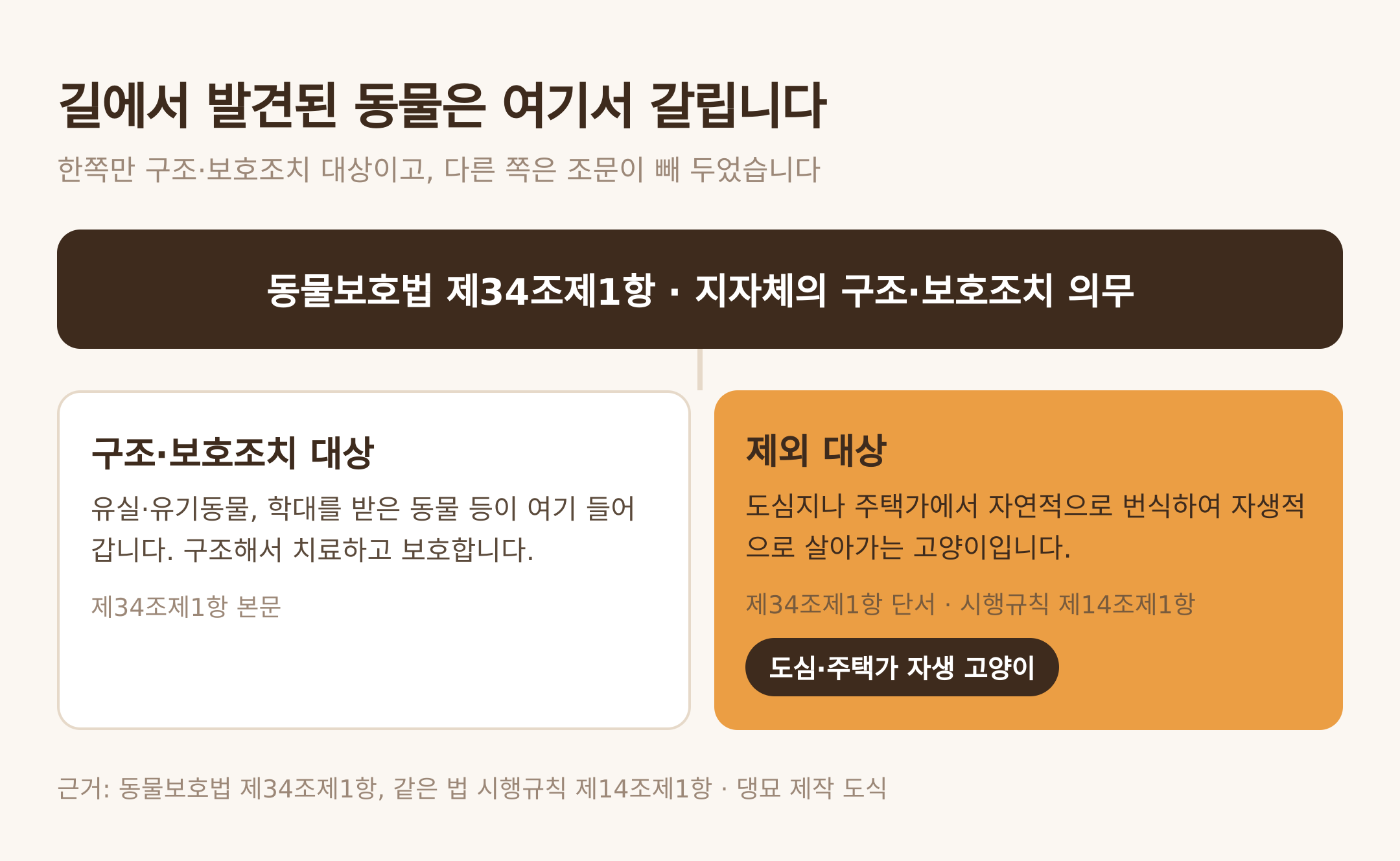 구조·보호조치 대상과 제외 대상의 갈림. 근거: 동물보호법 제34조제1항, 같은 법 시행규칙 제14조제1항 · 댕묘 제작 도식