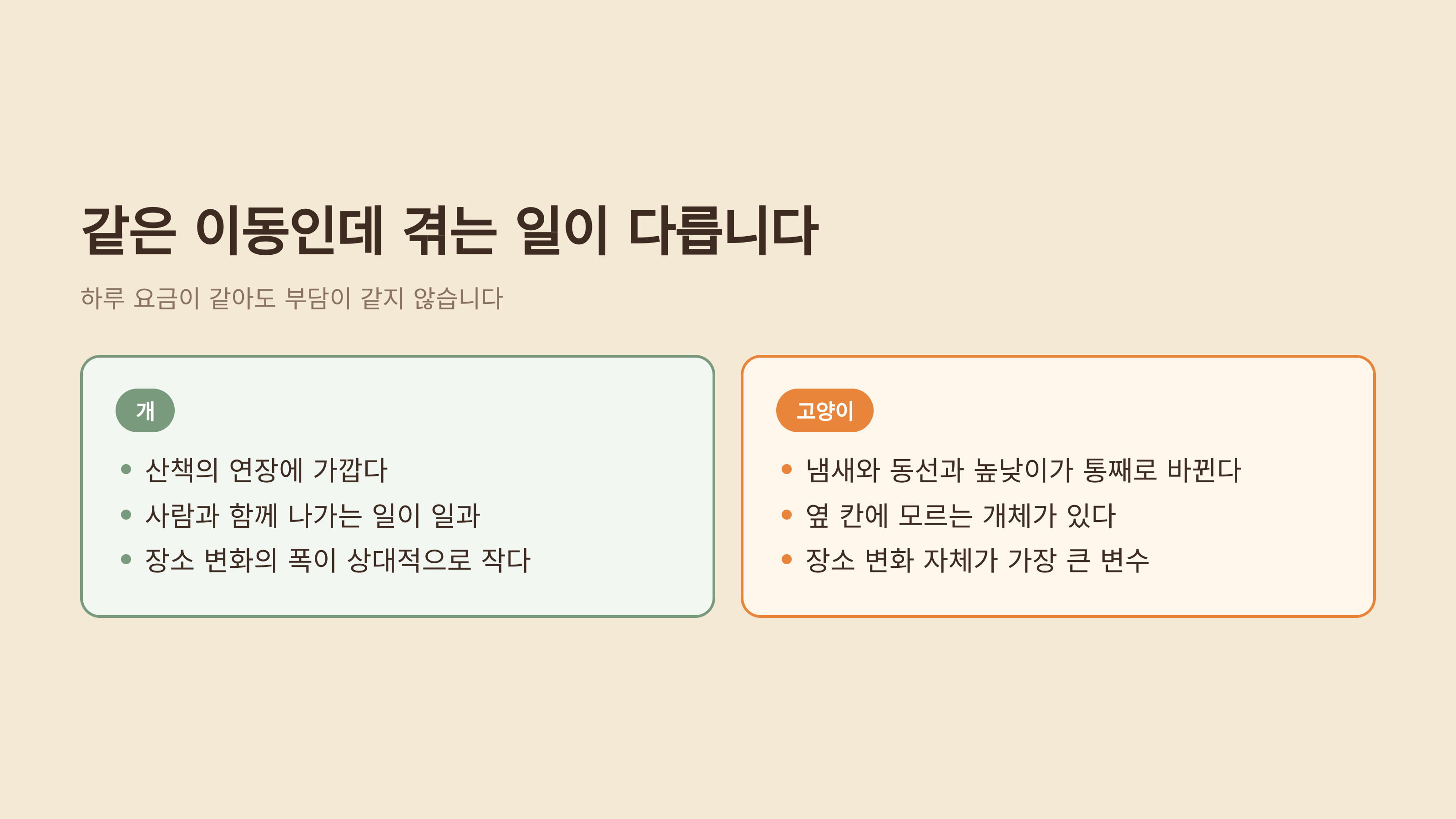 같은 이동인데 개와 고양이가 겪는 일이 다릅니다