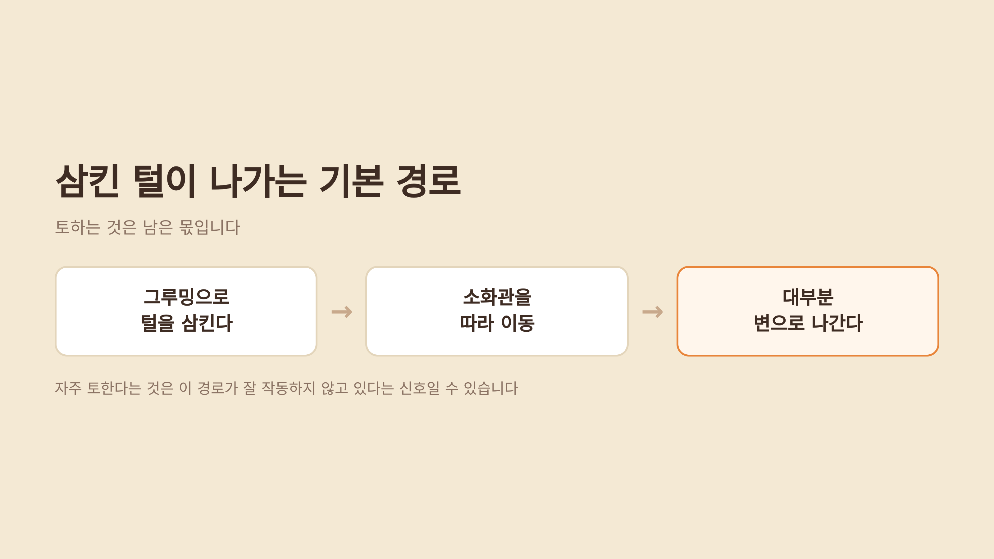 삼킨 털이 나가는 기본 경로