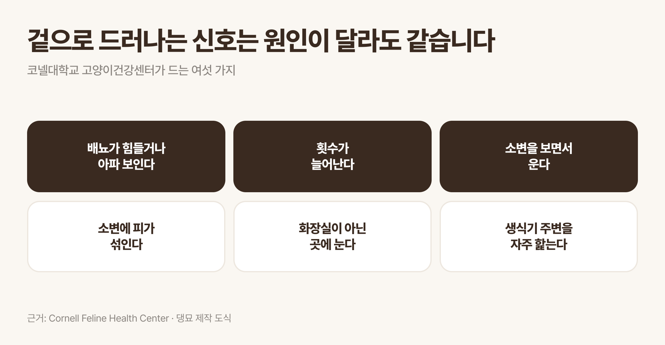원인이 달라도 같게 나타나는 여섯 가지 신호. 근거: Cornell Feline Health Center · 댕묘 제작 도식