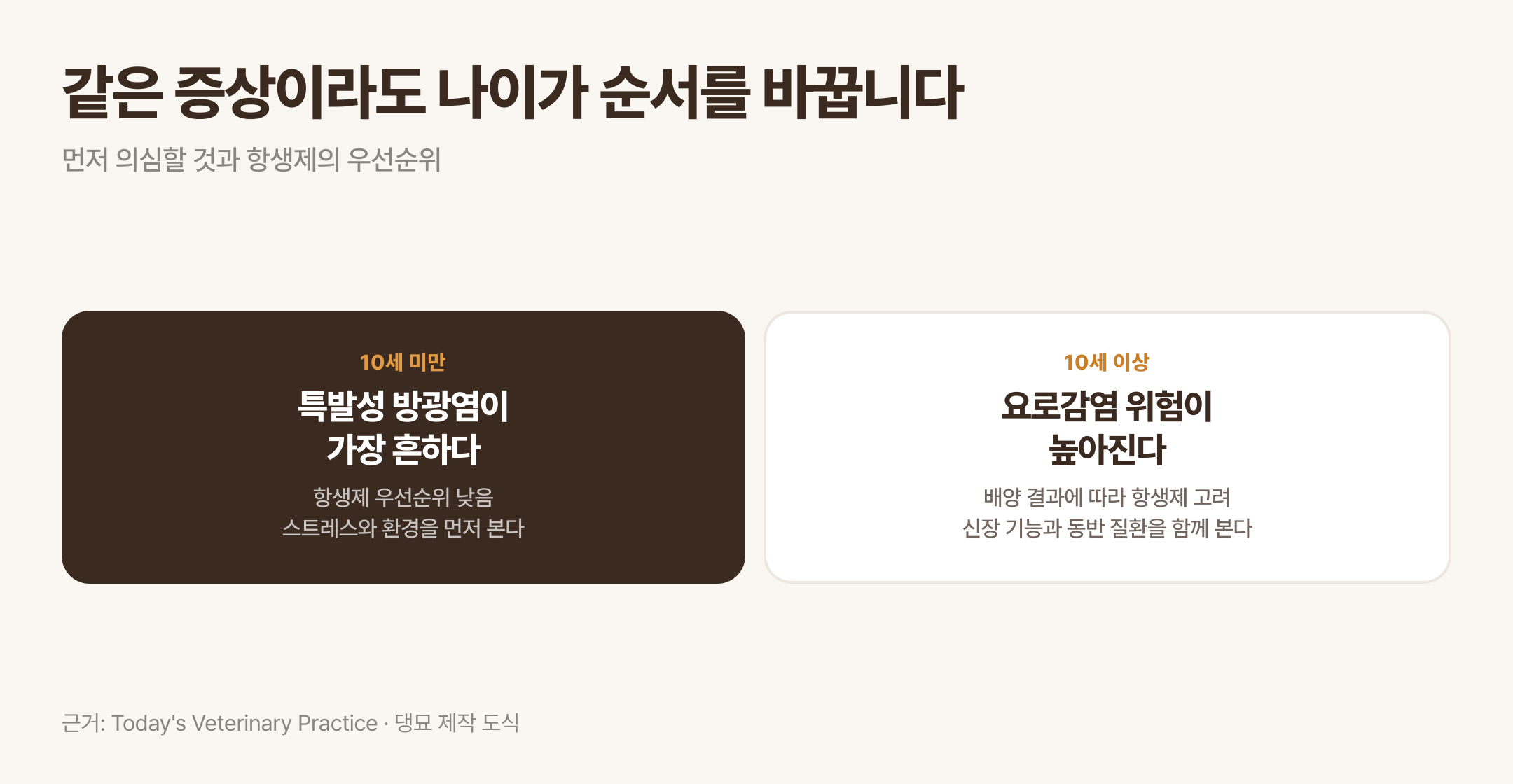 나이에 따라 갈리는 의심 순서와 항생제 우선순위. 근거: Today's Veterinary Practice · 댕묘 제작 도식