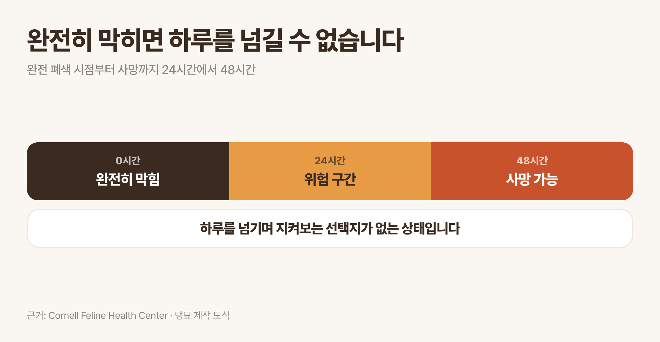 완전 폐색 시점부터 24시간에서 48시간이 뜻하는 것. 근거: Cornell Feline Health Center · 댕묘 제작 도식