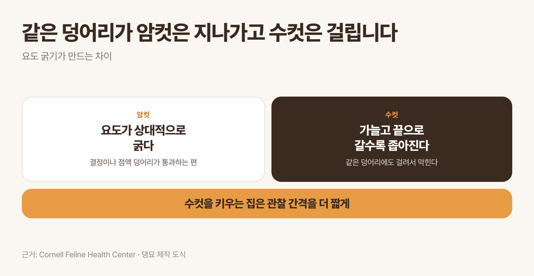 암컷과 수컷의 요도 굵기 차이가 만드는 결과. 근거: Cornell Feline Health Center · 댕묘 제작 도식