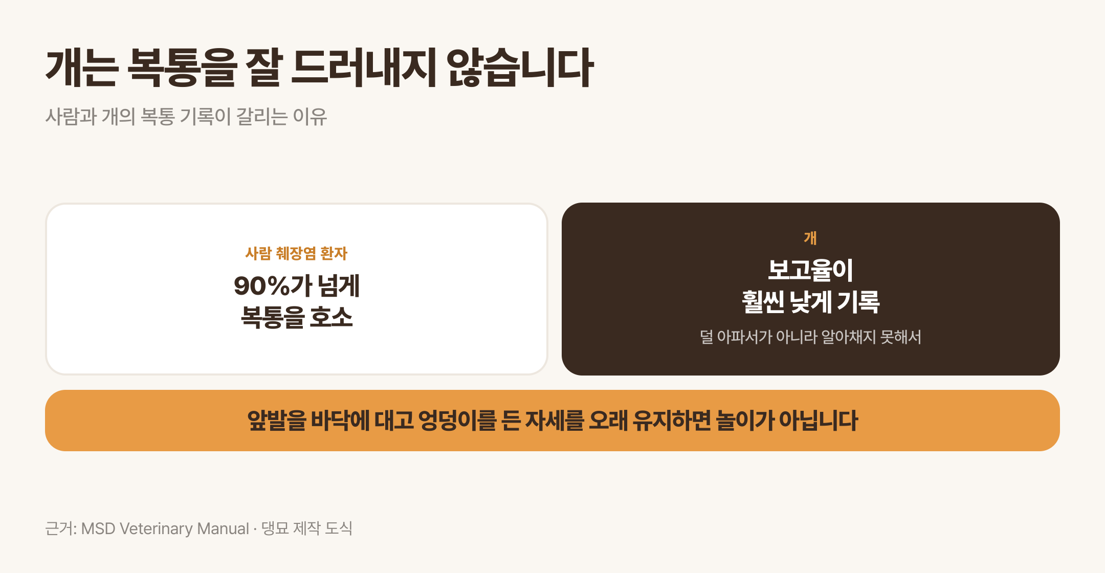 사람과 개의 복통 기록이 갈리는 이유와 통증 자세. 근거: MSD Veterinary Manual · 댕묘 제작 도식