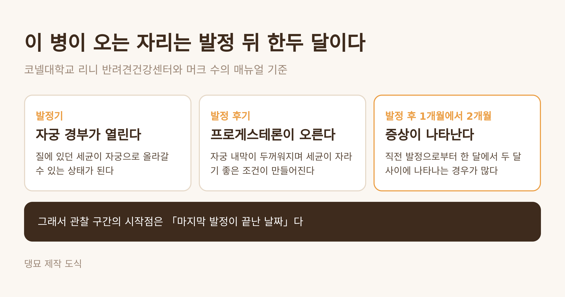 이 병이 오는 자리는 발정 뒤 한두 달이다 (댕묘 제작 도식)