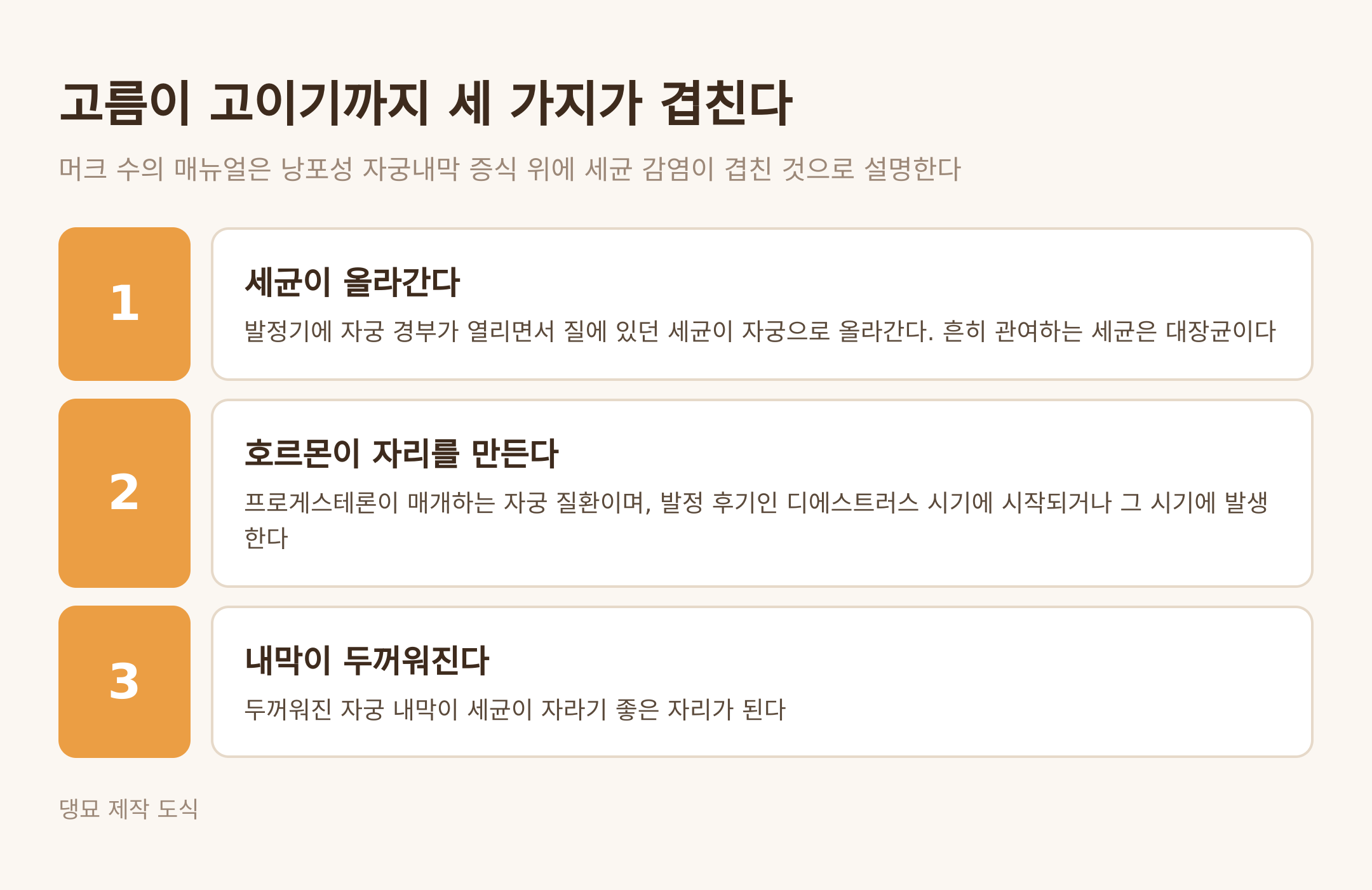 고름이 고이기까지 겹치는 세 가지 (댕묘 제작 도식)