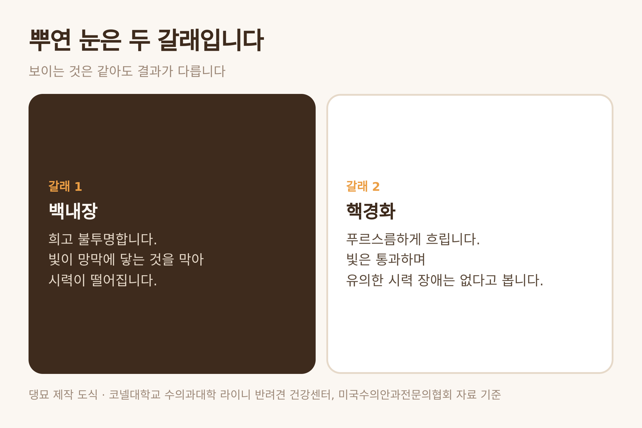 뿌연 눈의 두 갈래 — 댕묘 제작 도식 (코넬대학교 라이니 반려견 건강센터·미국수의안과전문의협회 자료 기준)
