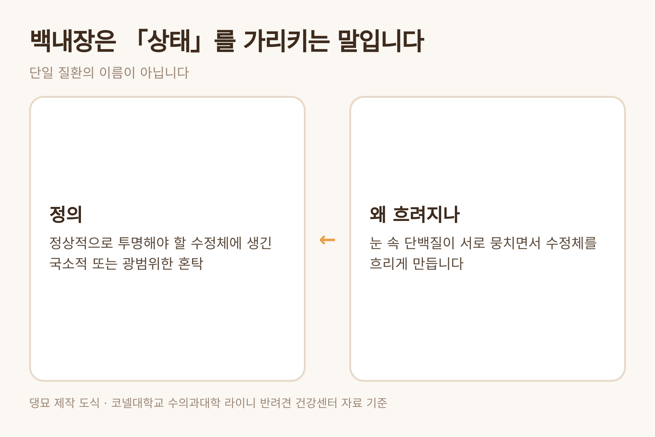 백내장의 정의 — 댕묘 제작 도식 (코넬대학교 라이니 반려견 건강센터 자료 기준)