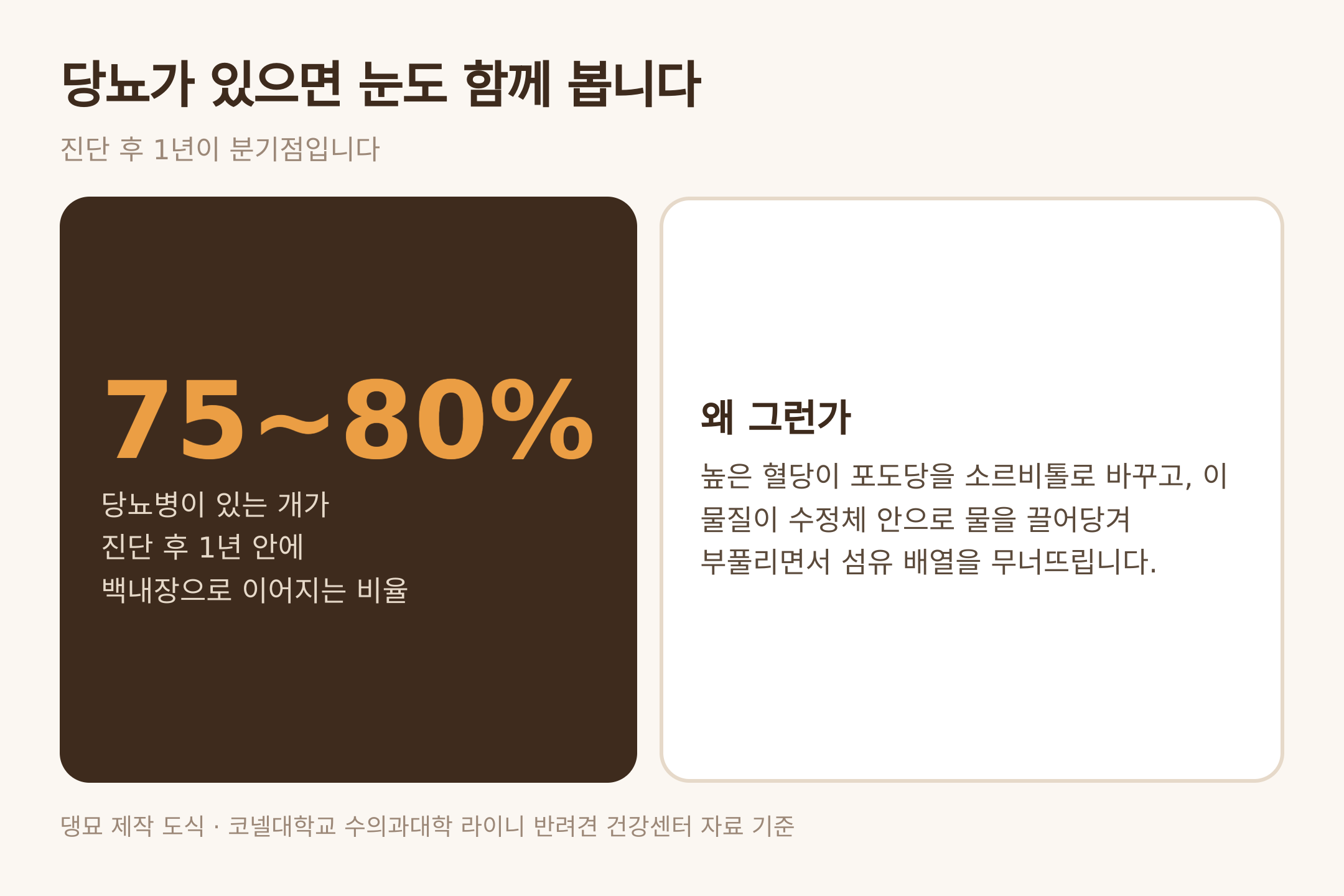 당뇨병과 백내장의 관계 — 댕묘 제작 도식 (코넬대학교 라이니 반려견 건강센터 자료 기준)