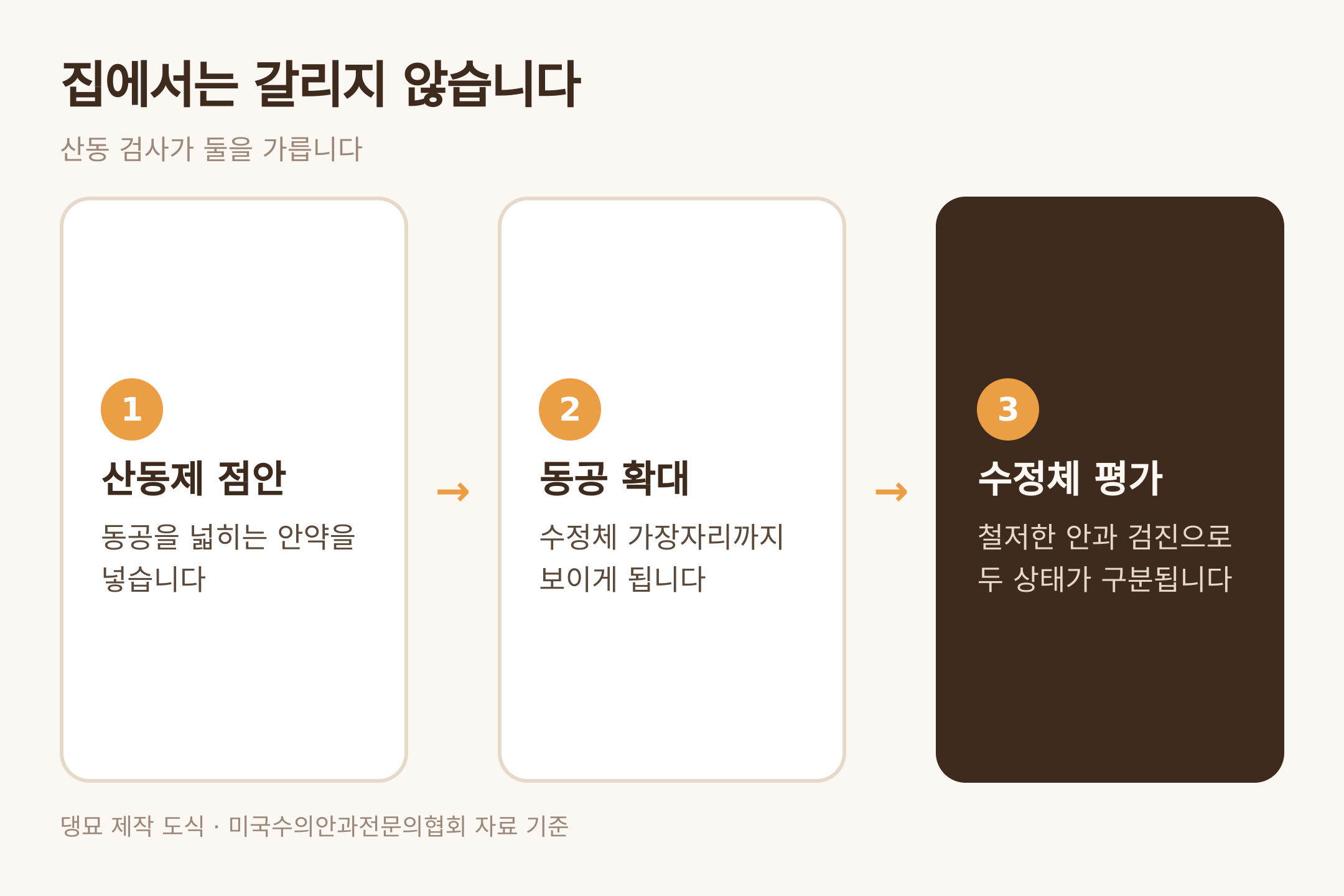 산동 검사의 세 단계 — 댕묘 제작 도식 (미국수의안과전문의협회 자료 기준)