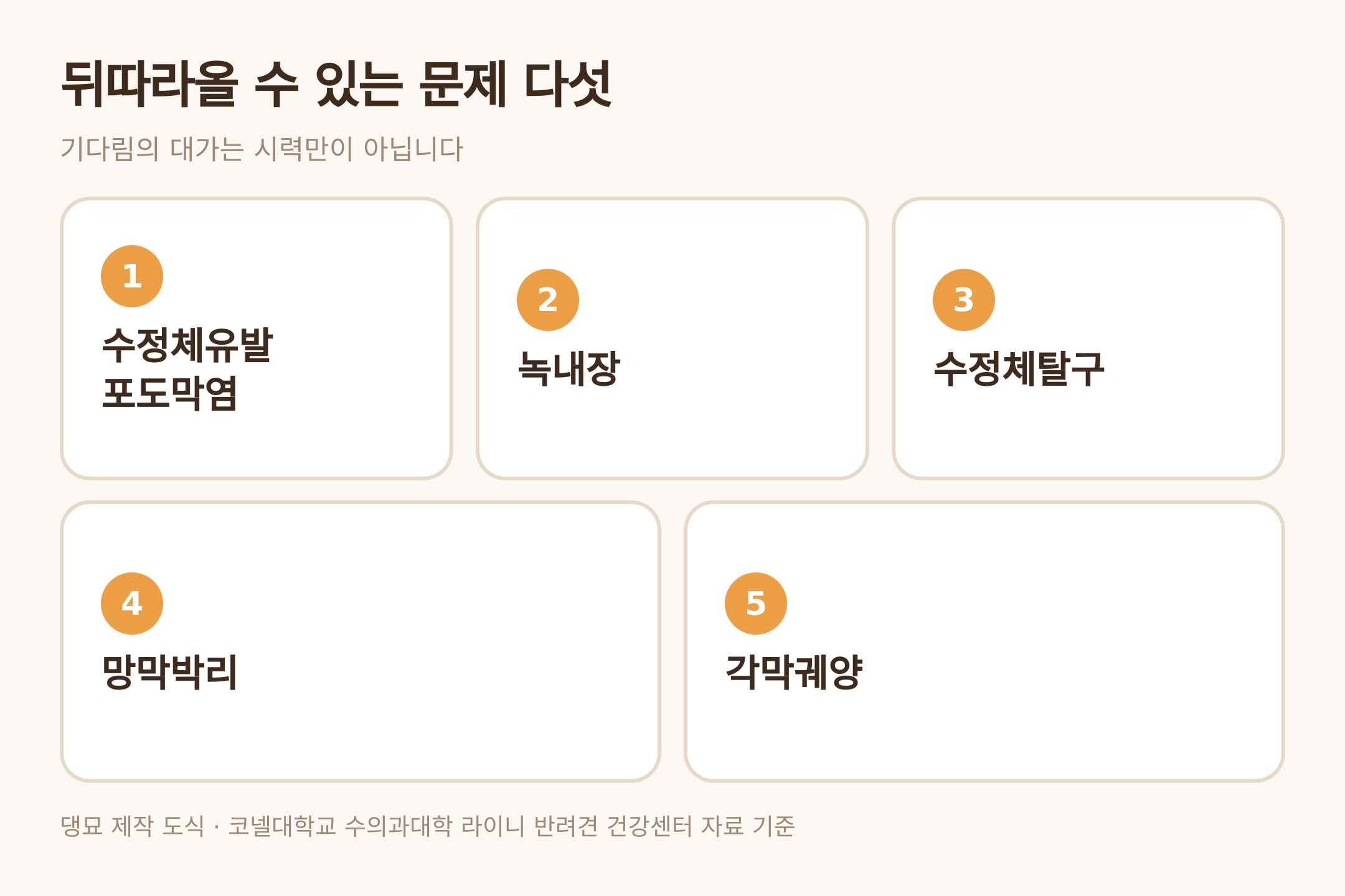 백내장에 뒤따를 수 있는 합병증 다섯 — 댕묘 제작 도식 (코넬대학교 라이니 반려견 건강센터 자료 기준)