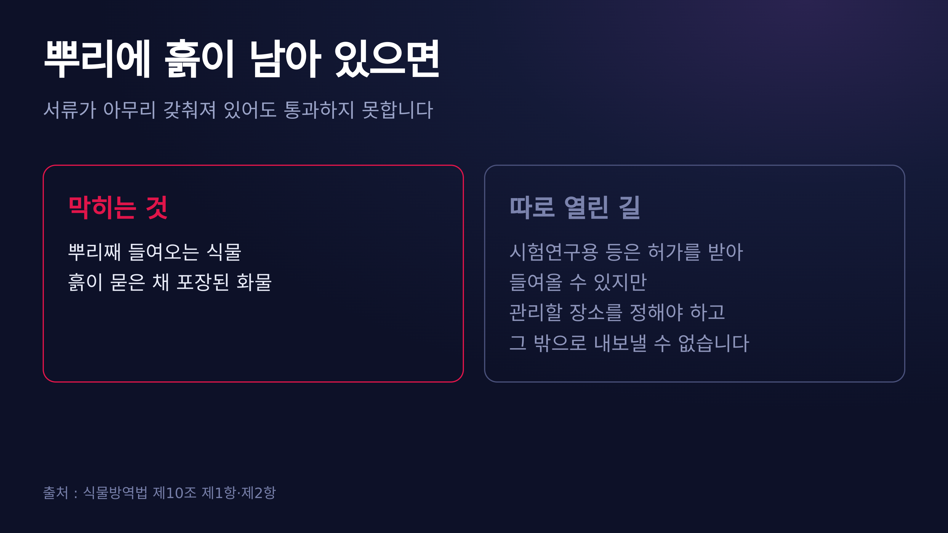 뿌리에 흙이 남아 있으면