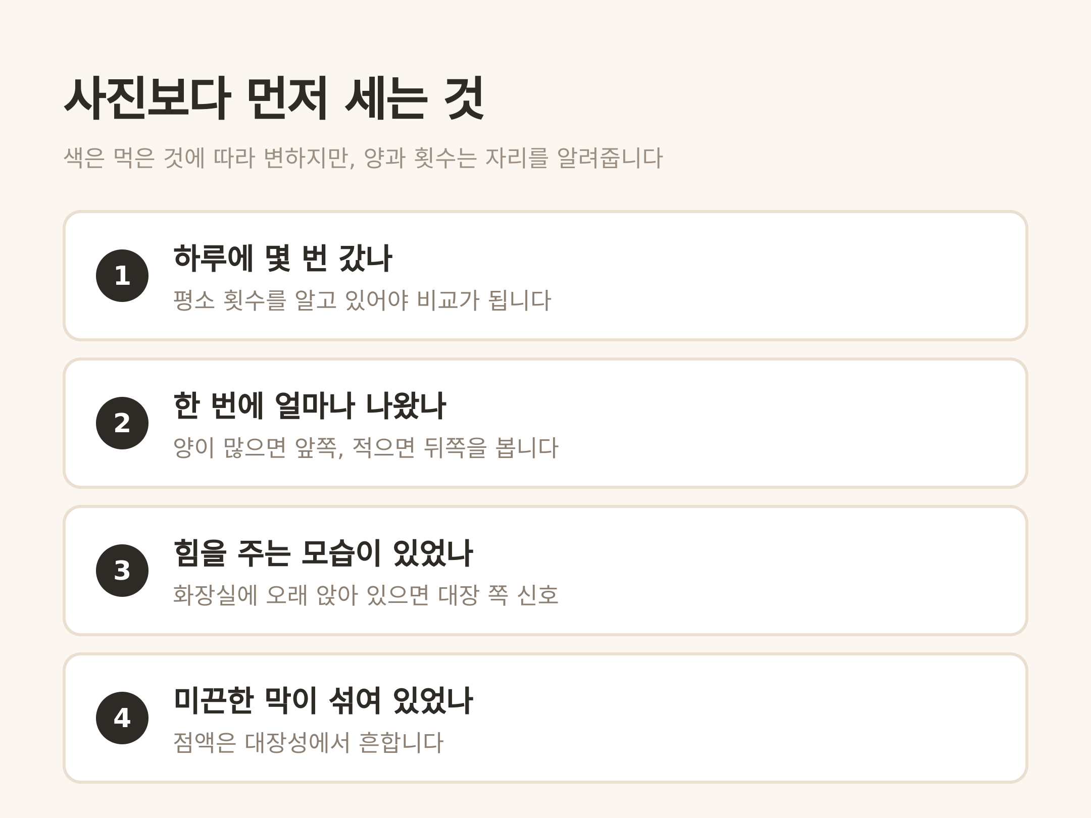 사진을 찍기 전에 세어 둘 네 가지
