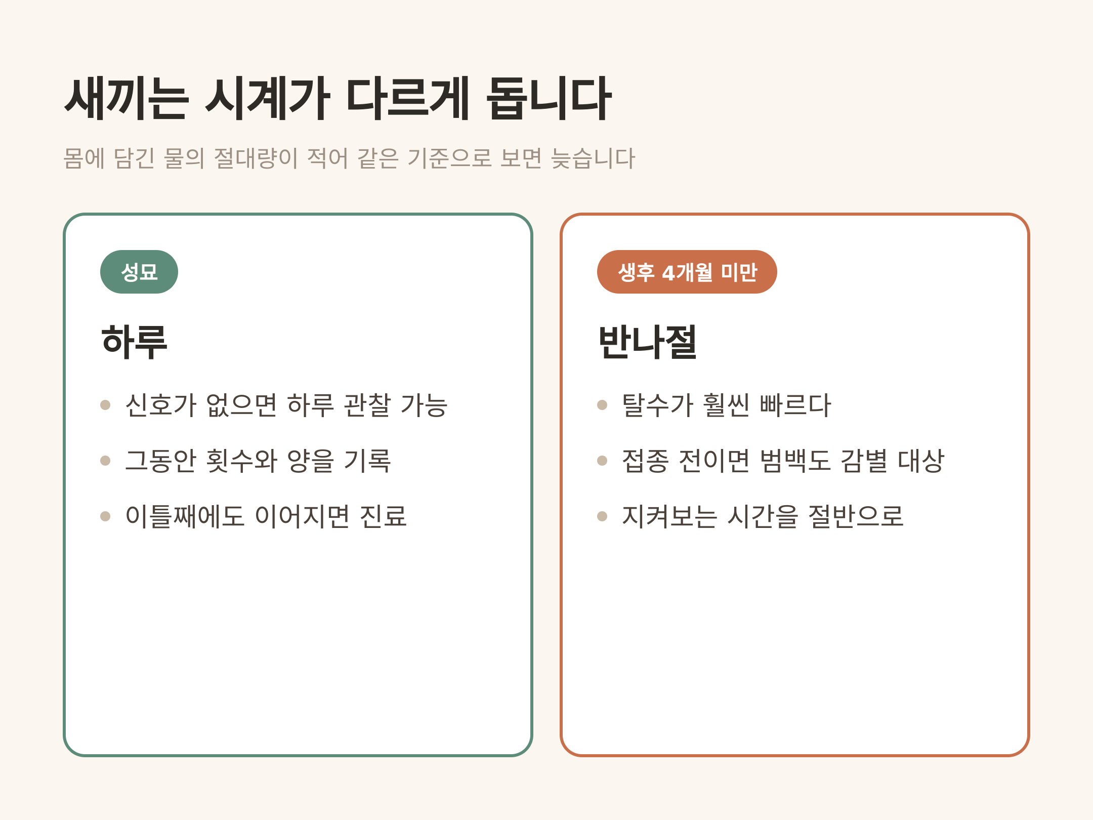 성묘는 하루, 새끼는 반나절 — 시계가 다릅니다