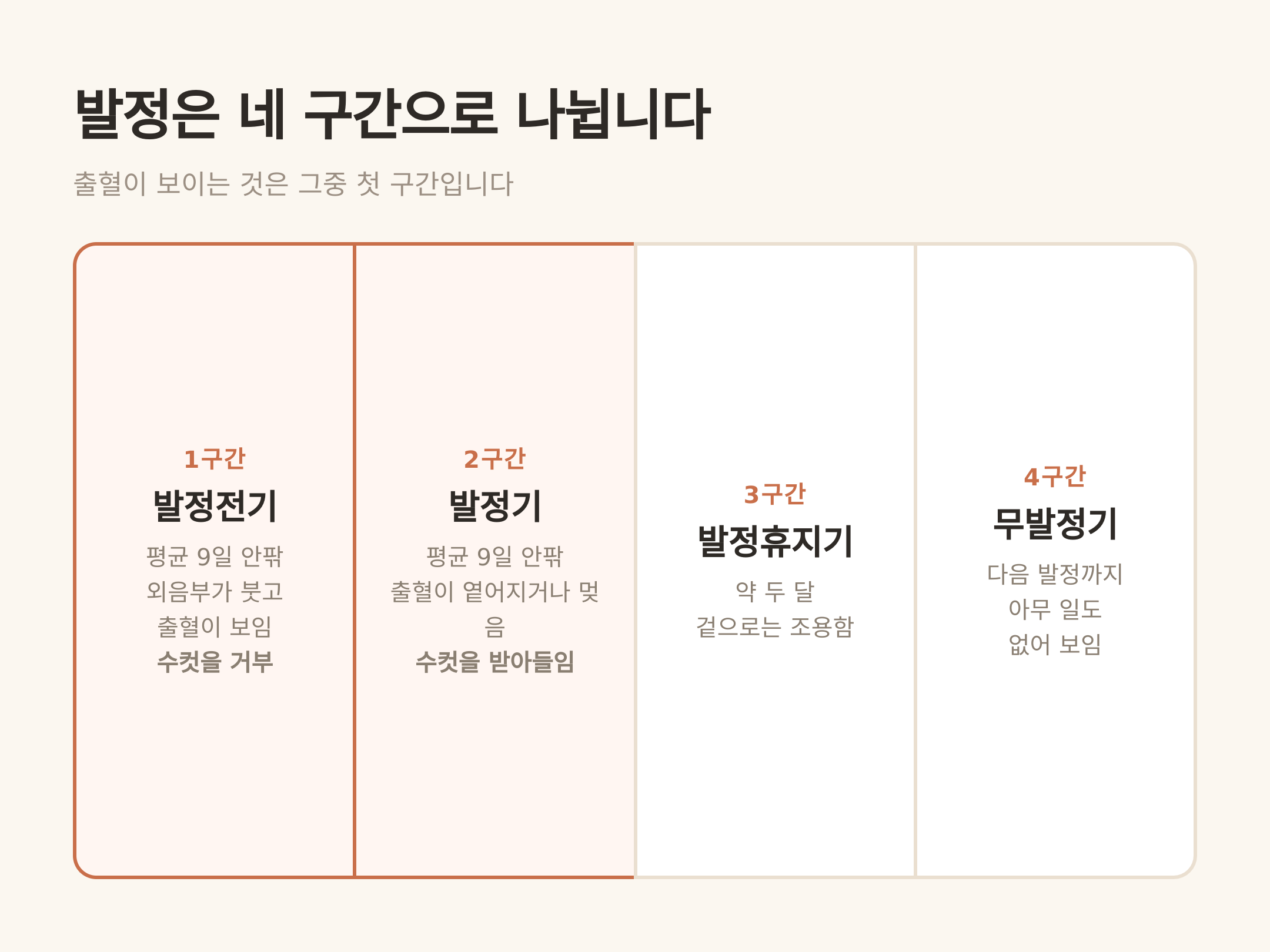 발정은 네 구간으로 나뉩니다