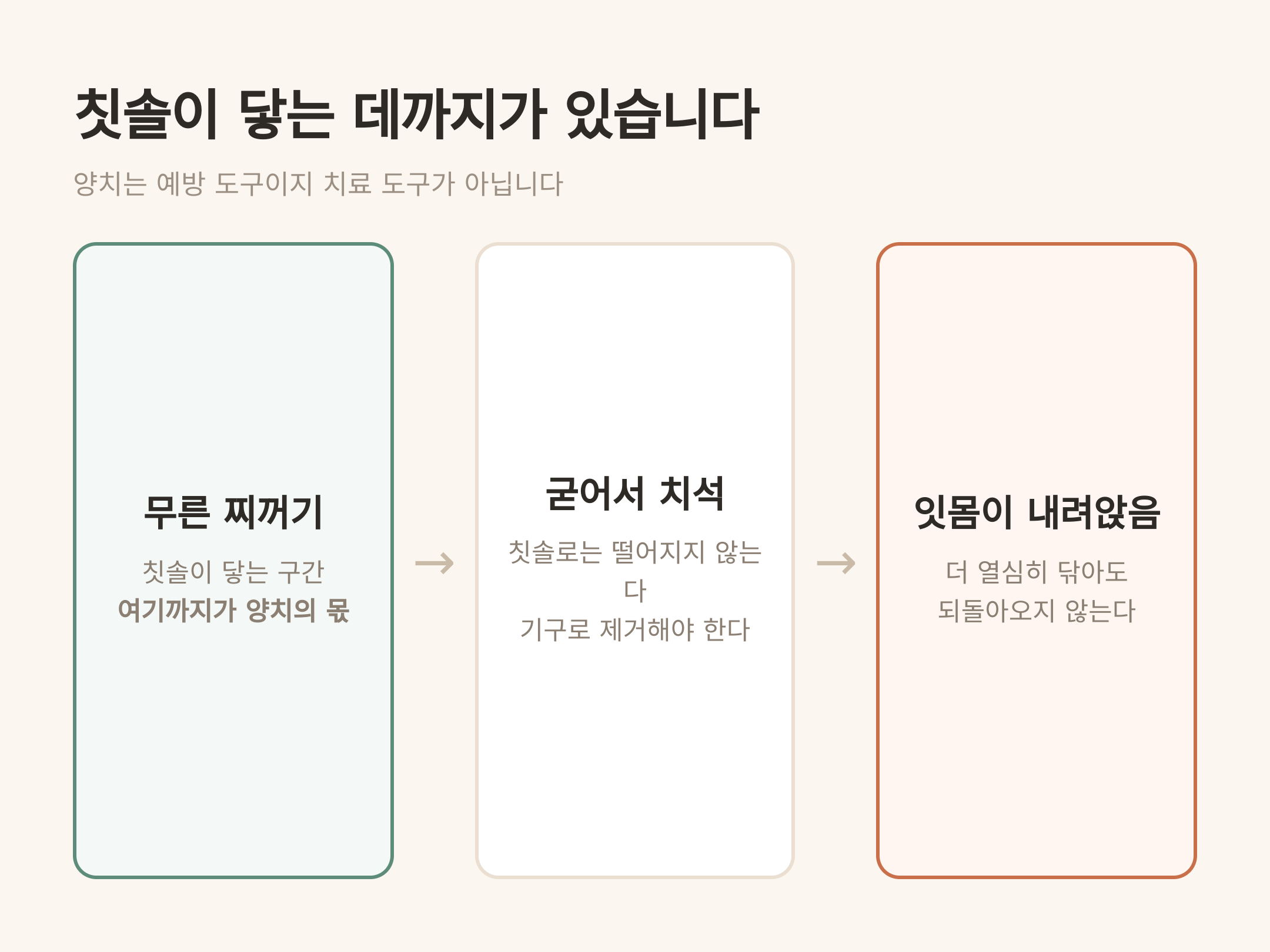 칫솔이 닿는 데까지가 있습니다