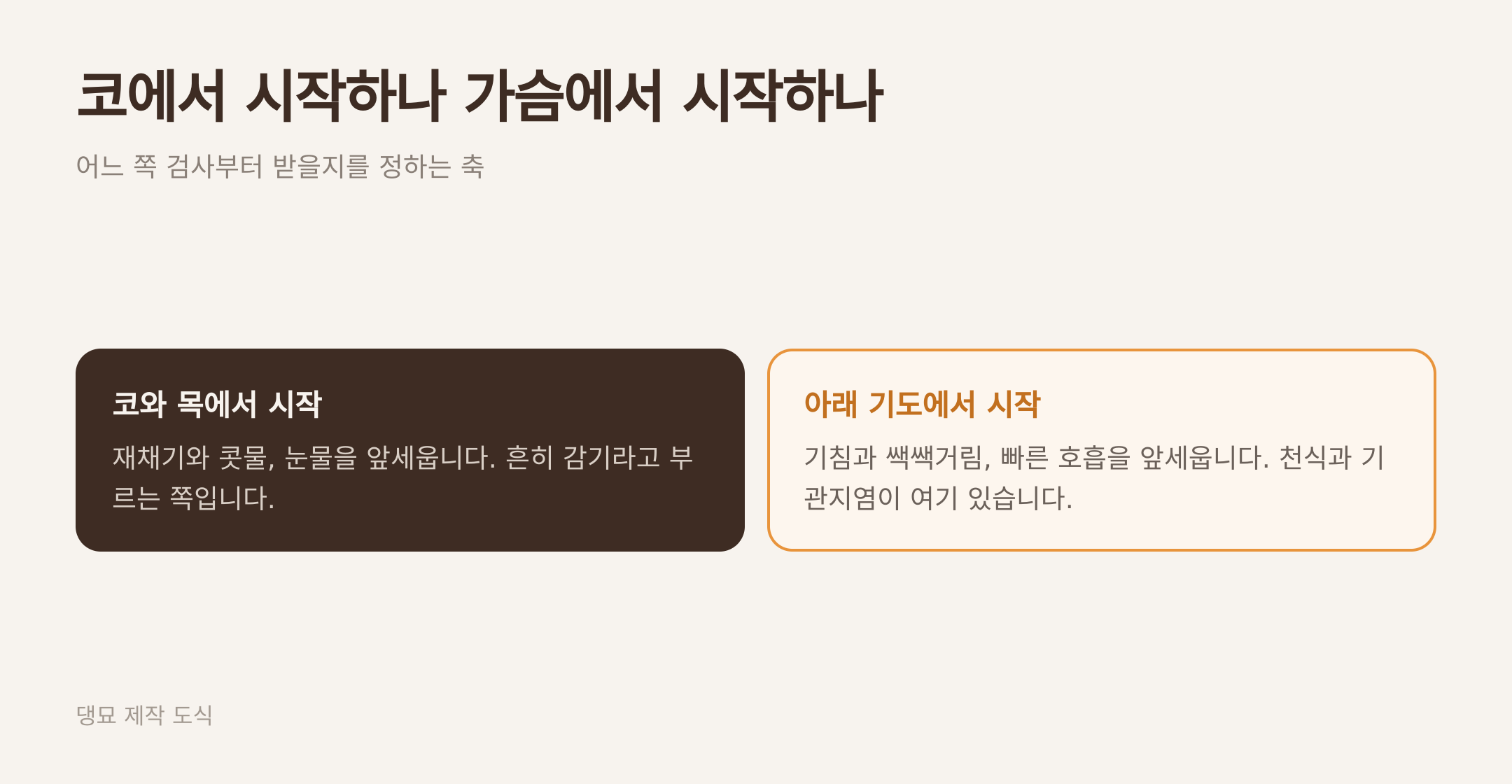 코에서 시작하나 아래 기도에서 시작하나. 댕묘 제작 도식