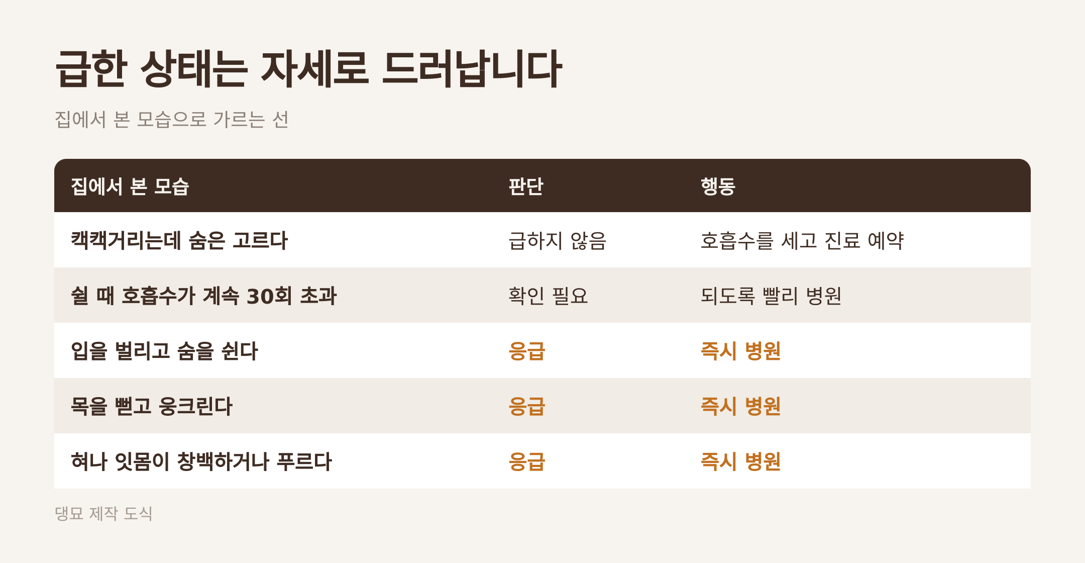 호흡수를 세는 세 단계. 근거: VCA Animal Hospitals · 댕묘 제작 도식
