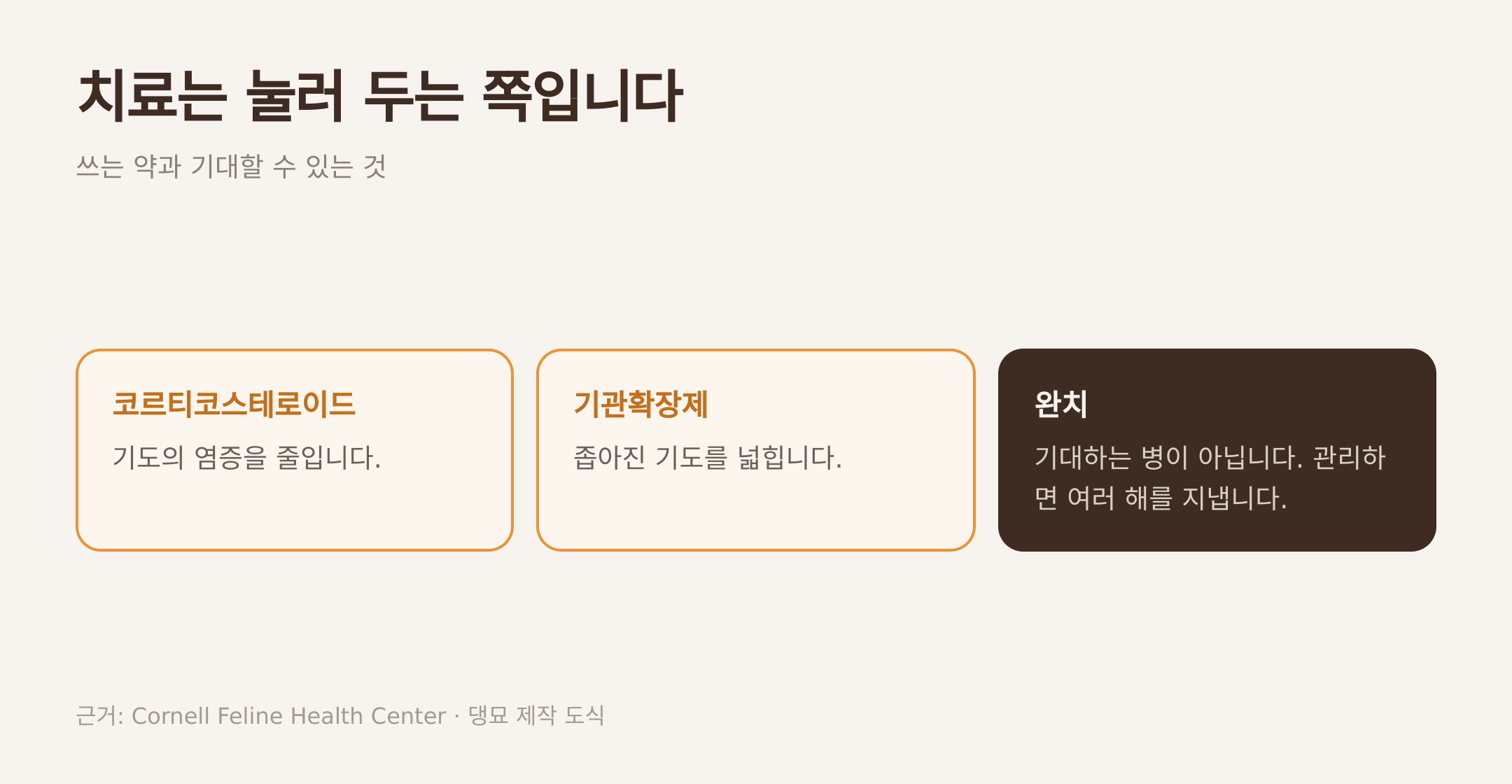 쓰는 약 두 갈래와 완치에 대한 설명. 근거: Cornell Feline Health Center · 댕묘 제작 도식