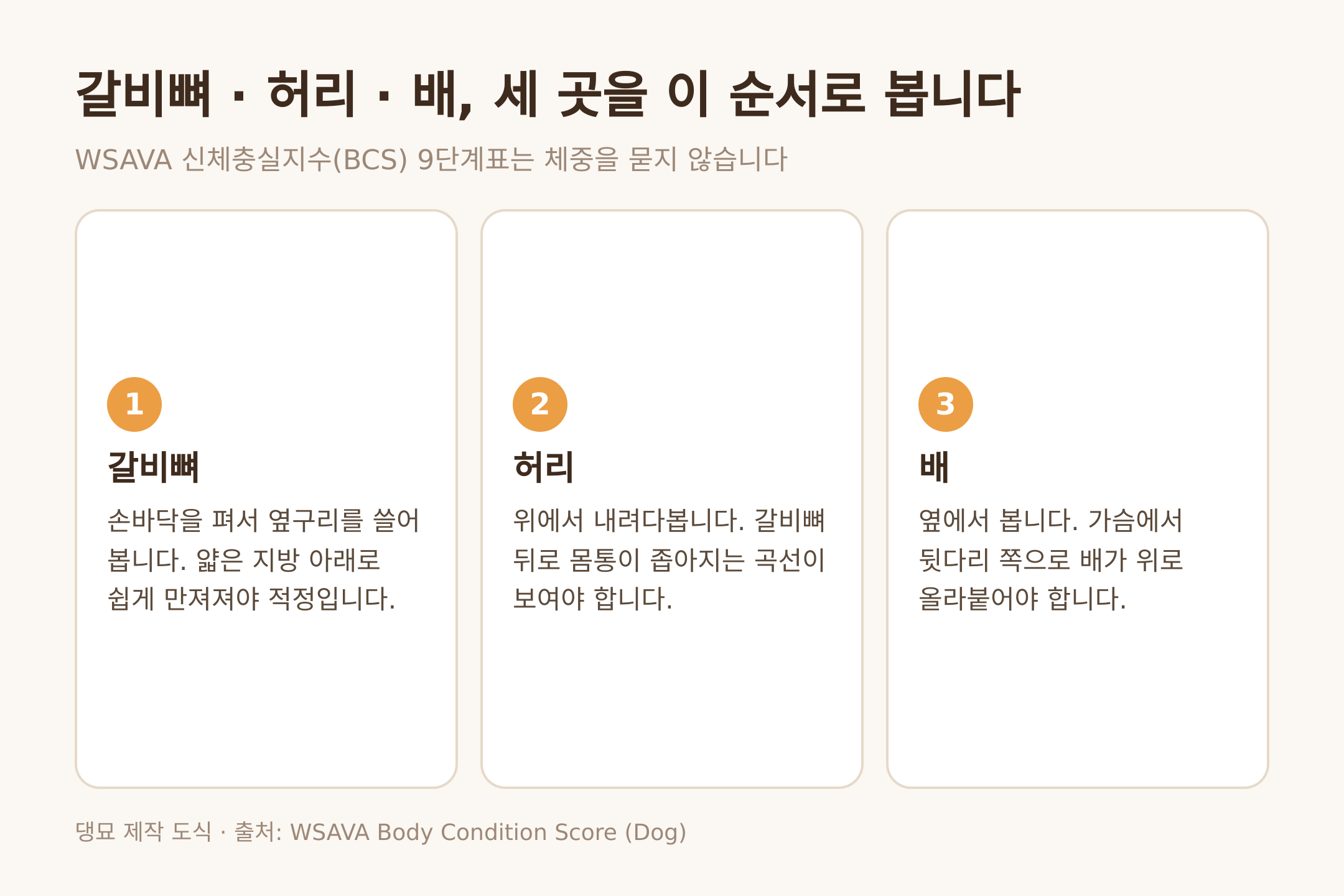 댕묘 제작 도식. 갈비뼈와 허리와 배를 보는 순서, WSAVA BCS