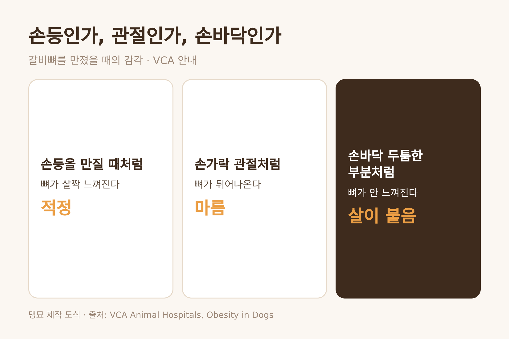댕묘 제작 도식. 갈비뼈를 만졌을 때 손등과 관절과 손바닥의 감각 비교, VCA