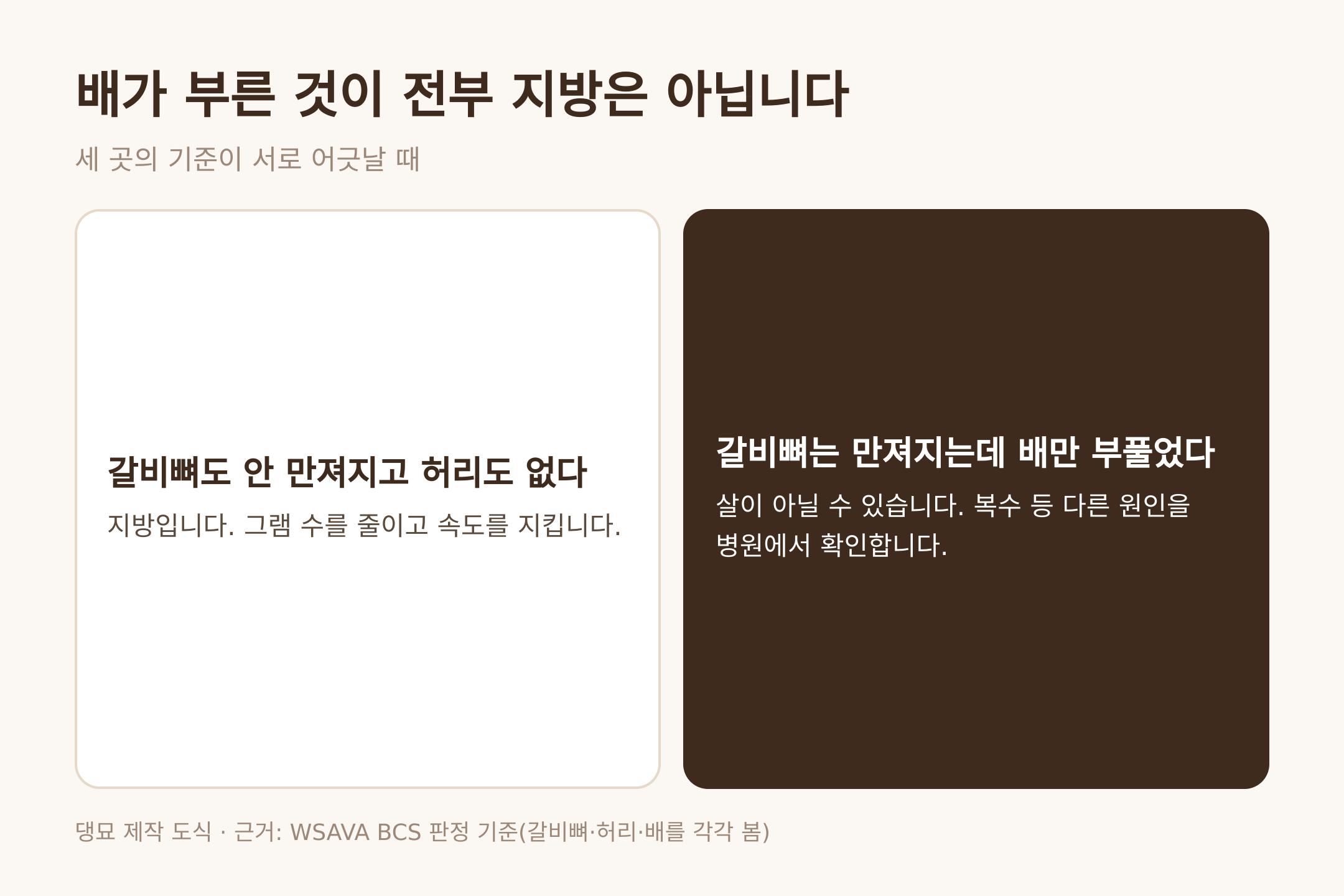 댕묘 제작 도식. 갈비뼈는 만져지는데 배만 부푼 경우는 지방이 아닐 수 있다