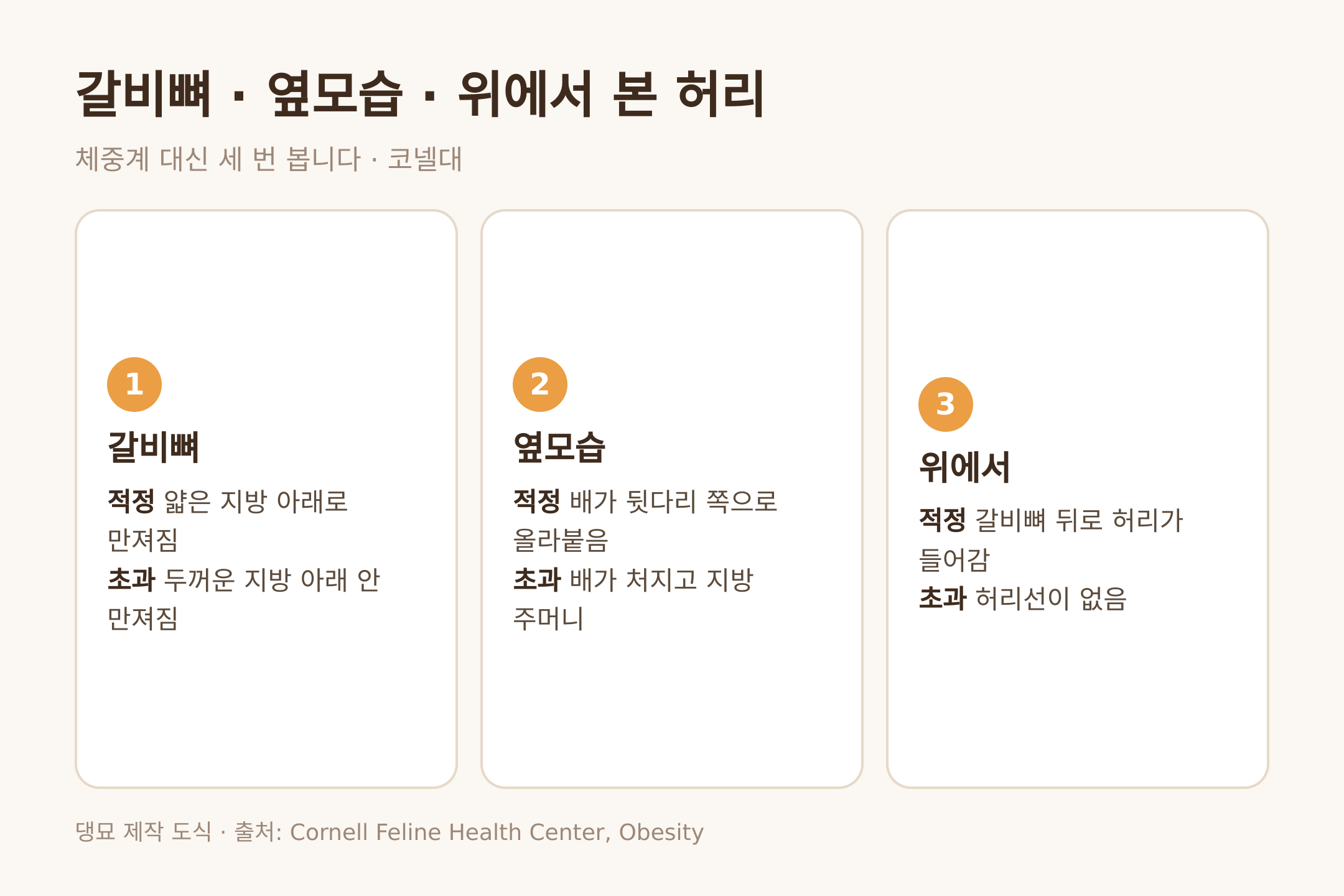 댕묘 제작 도식. 갈비뼈와 옆모습과 위에서 본 허리의 적정과 초과 기준