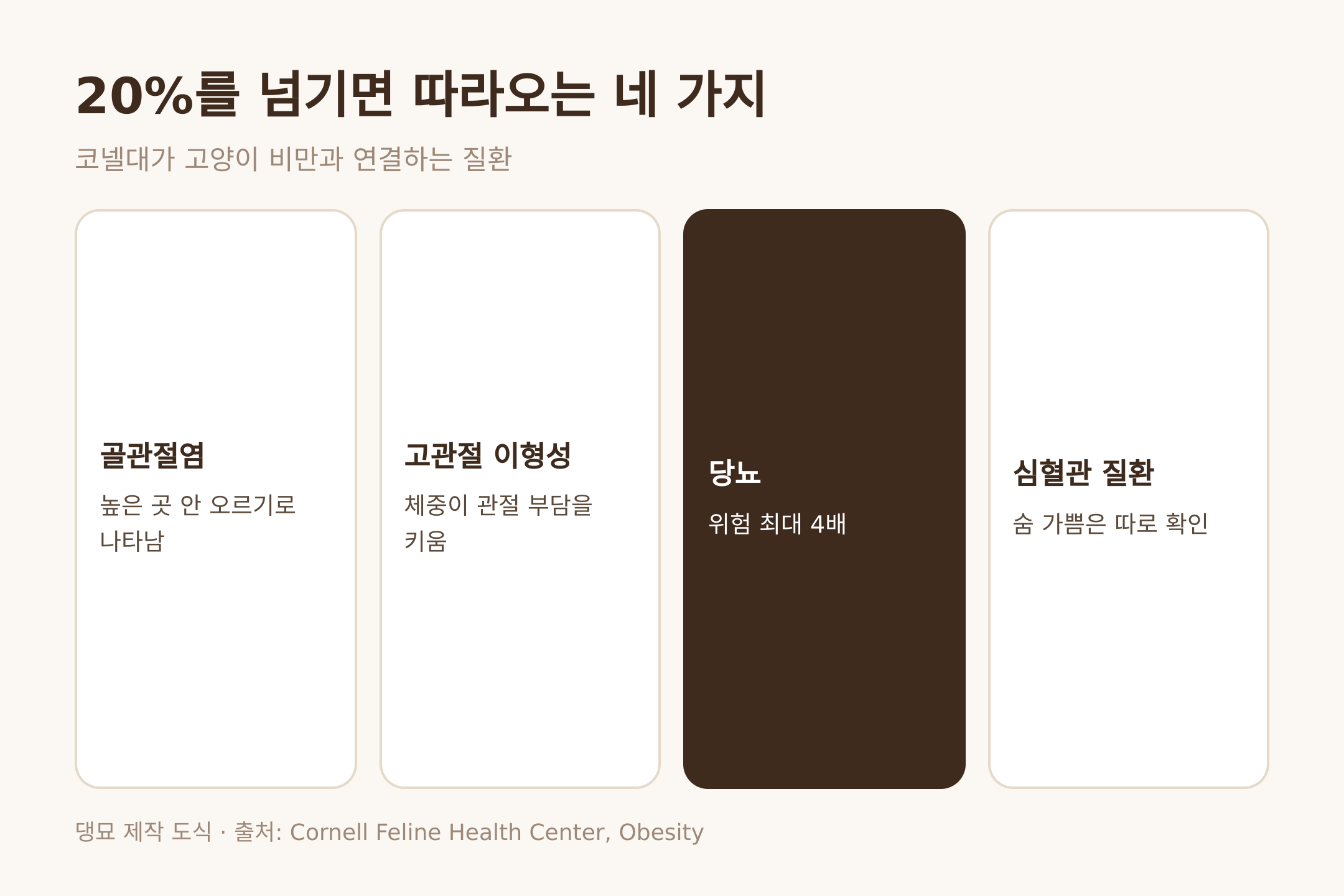 댕묘 제작 도식. 고양이 비만과 연결되는 네 가지 질환, 코넬대
