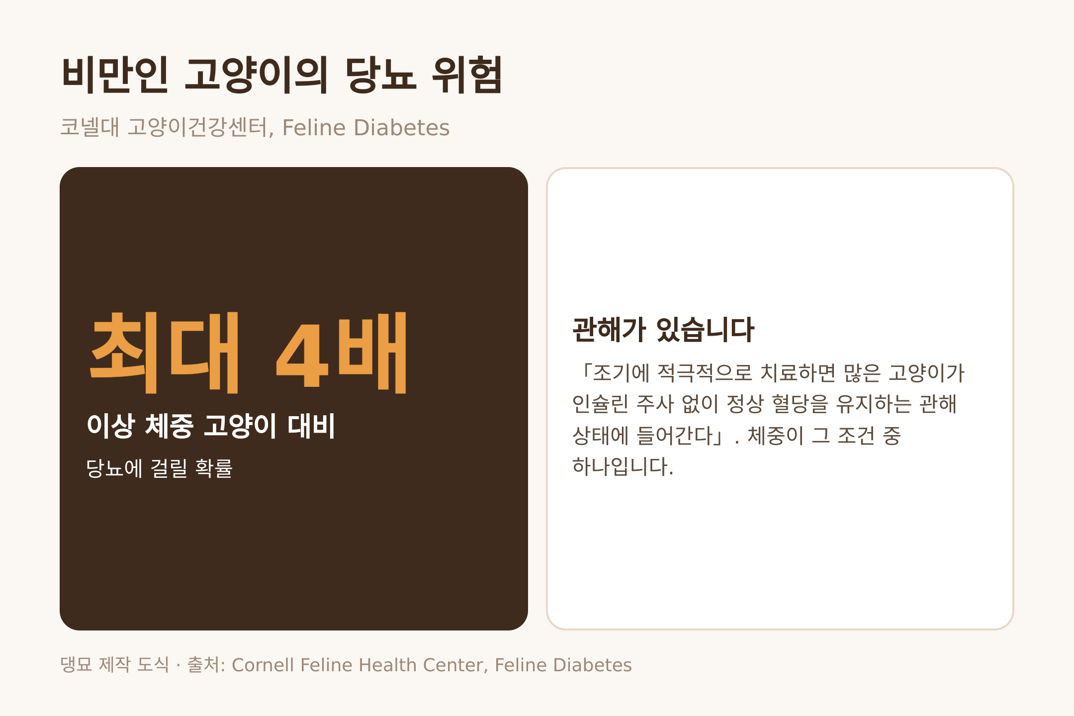 댕묘 제작 도식. 비만묘의 당뇨 위험 최대 4배와 조기 치료 시 관해 가능성
