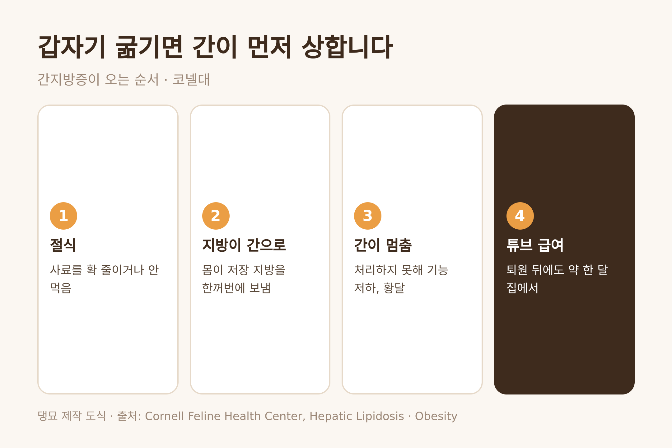 댕묘 제작 도식. 갑작스러운 절식에서 간지방증으로 가는 순서, 코넬대