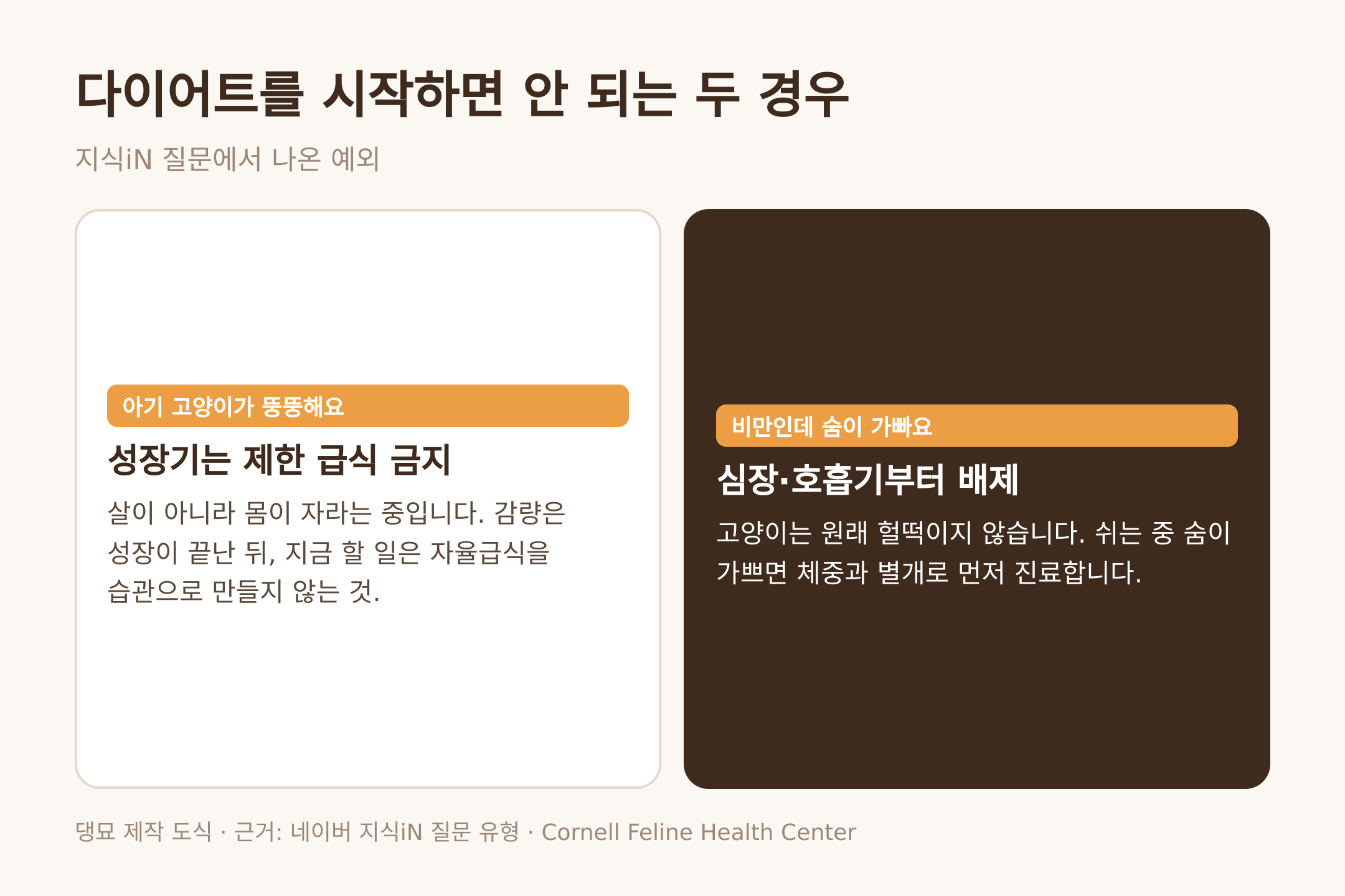 댕묘 제작 도식. 다이어트를 시작하면 안 되는 두 경우, 새끼 고양이와 숨 가쁨