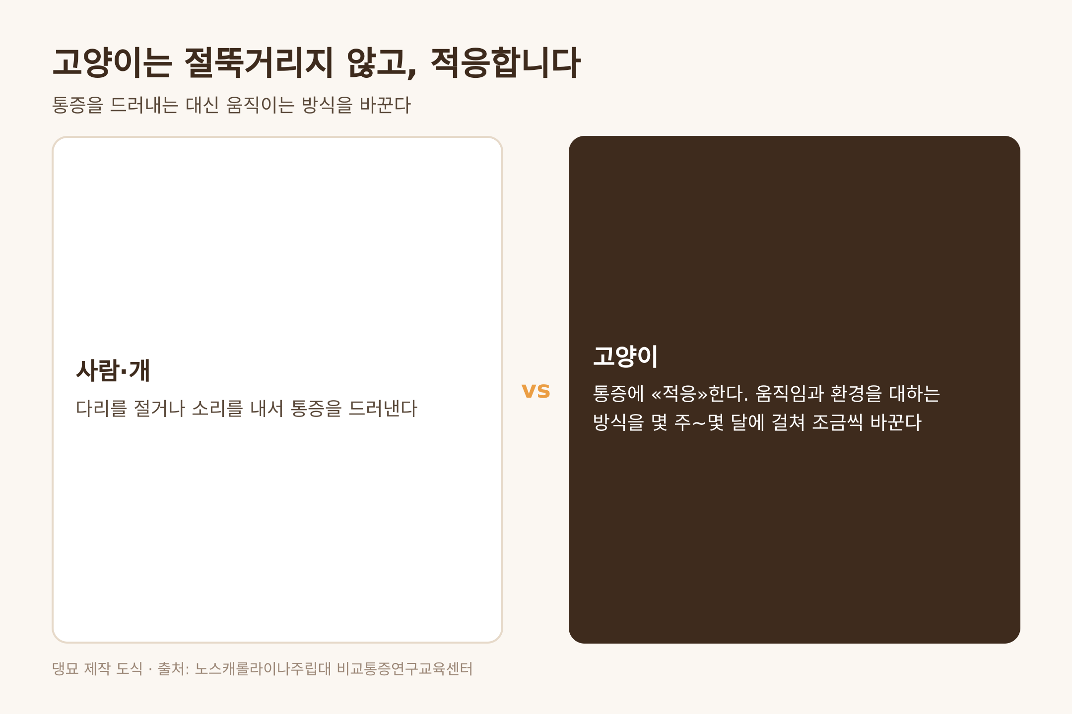 고양이는 통증을 드러내지 않고 적응한다, 출처 노스캐롤라이나주립대