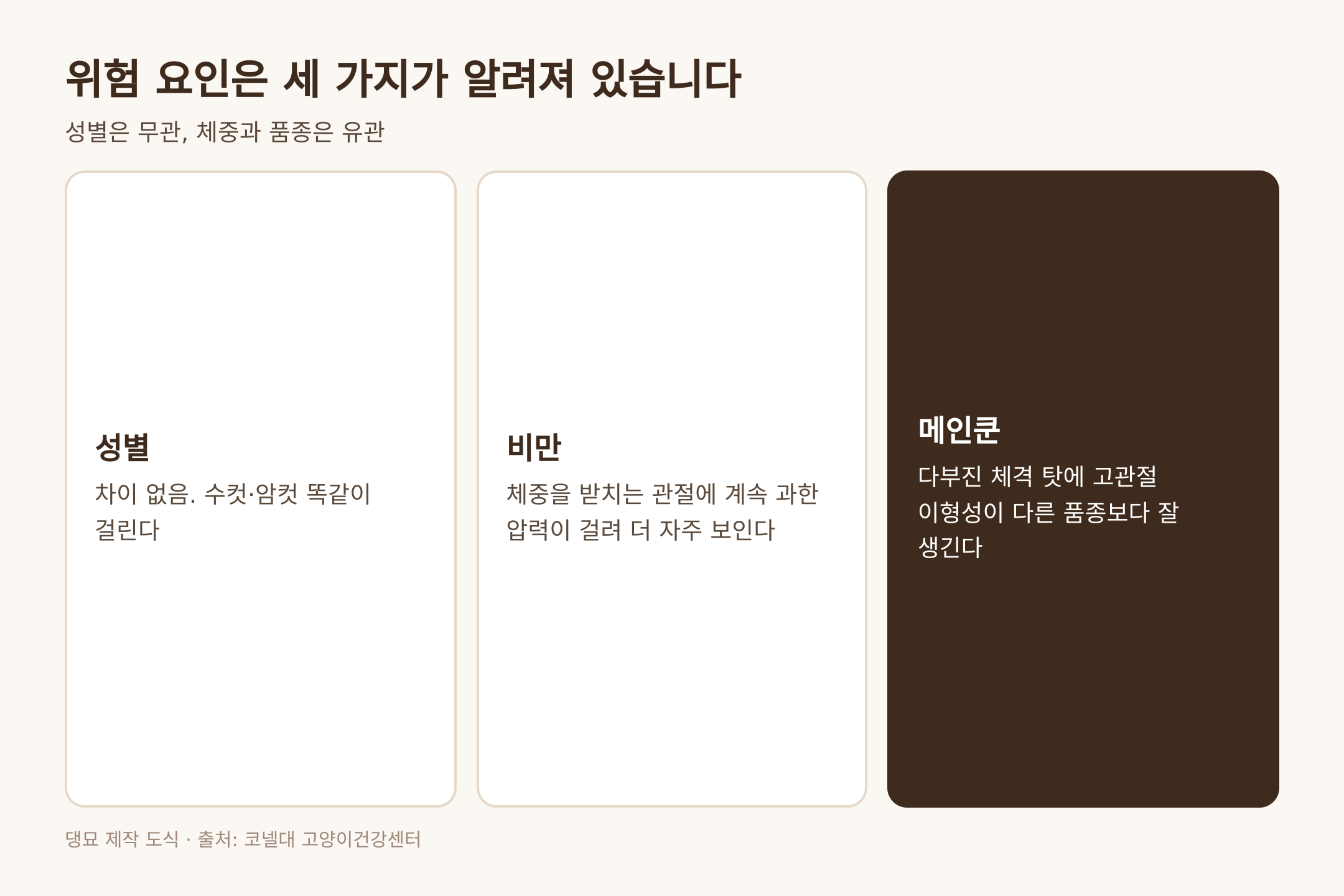 고양이 관절염 위험 요인 세 가지, 출처 코넬대 고양이건강센터
