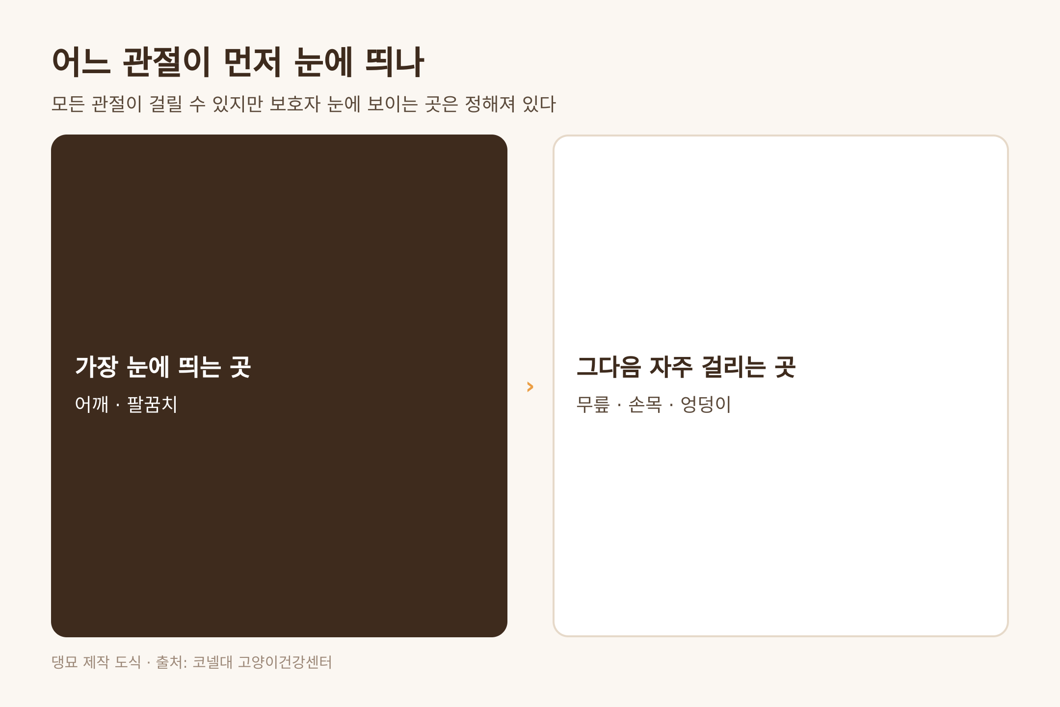 어깨와 팔꿈치가 가장 눈에 띄는 관절, 출처 코넬대 고양이건강센터