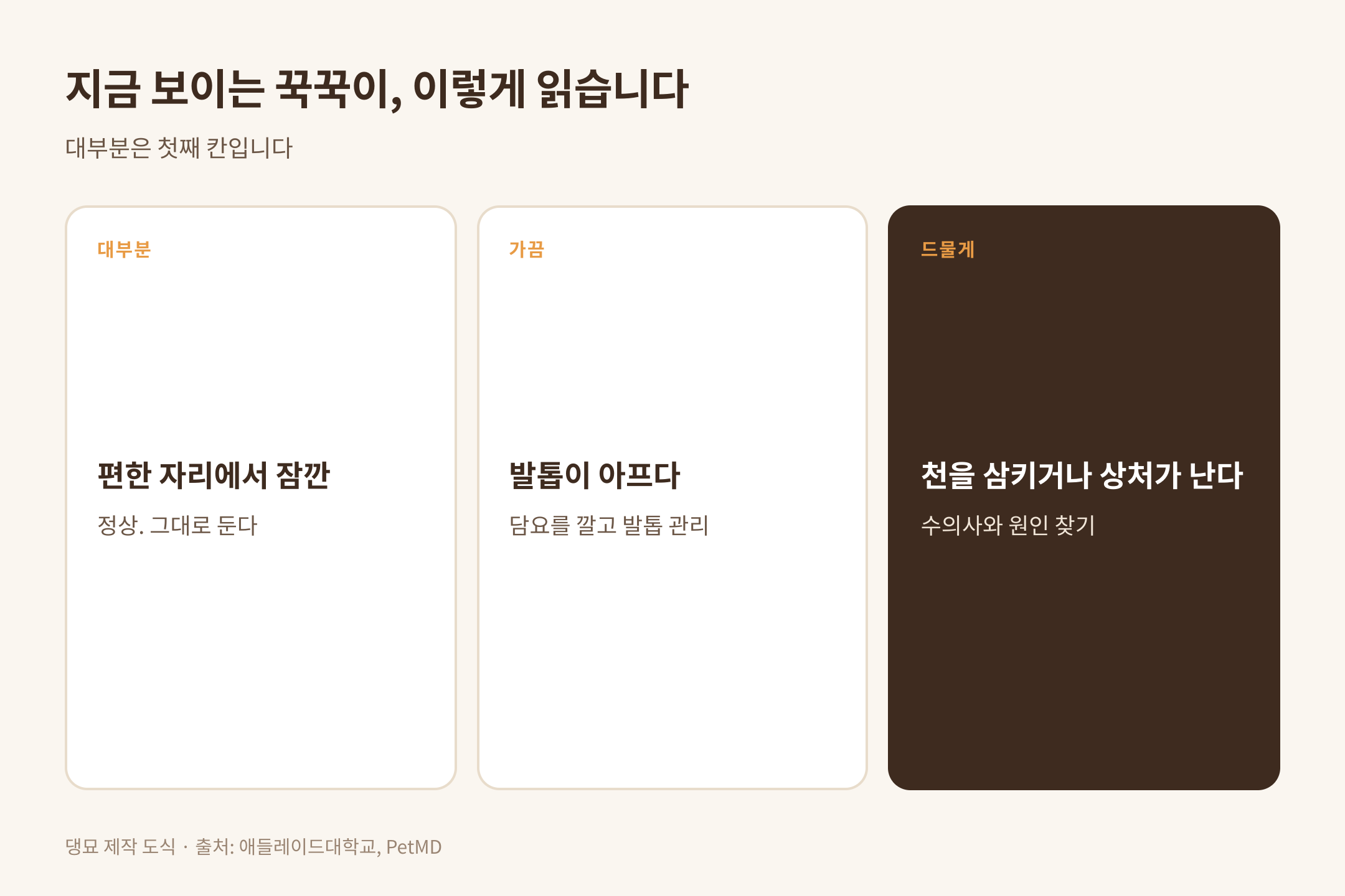 지금 보이는 꾹꾹이를 읽는 법, 댕묘 제작 도식