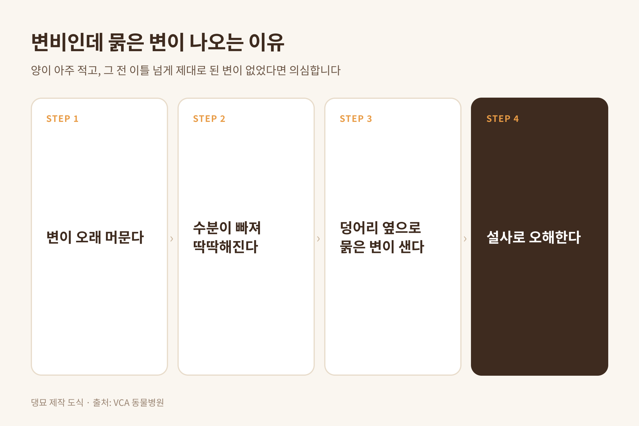 변비인데 묽은 변이 새어 나오는 과정, 출처 VCA 동물병원