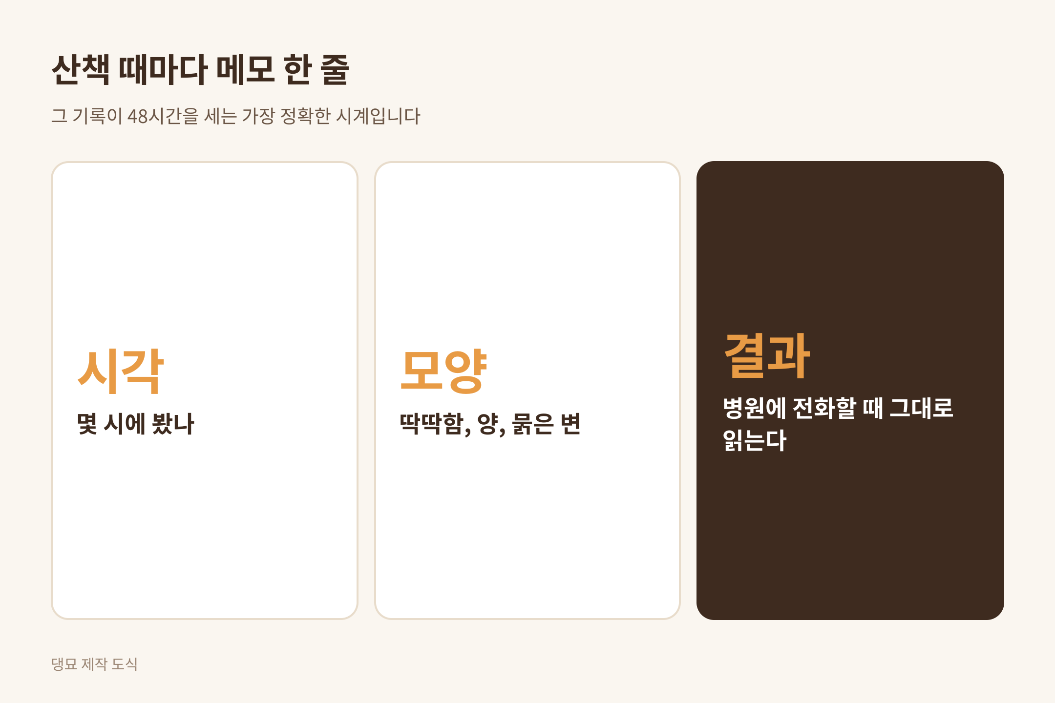 산책 메모 한 줄로 48시간 세기, 댕묘 제작 도식
