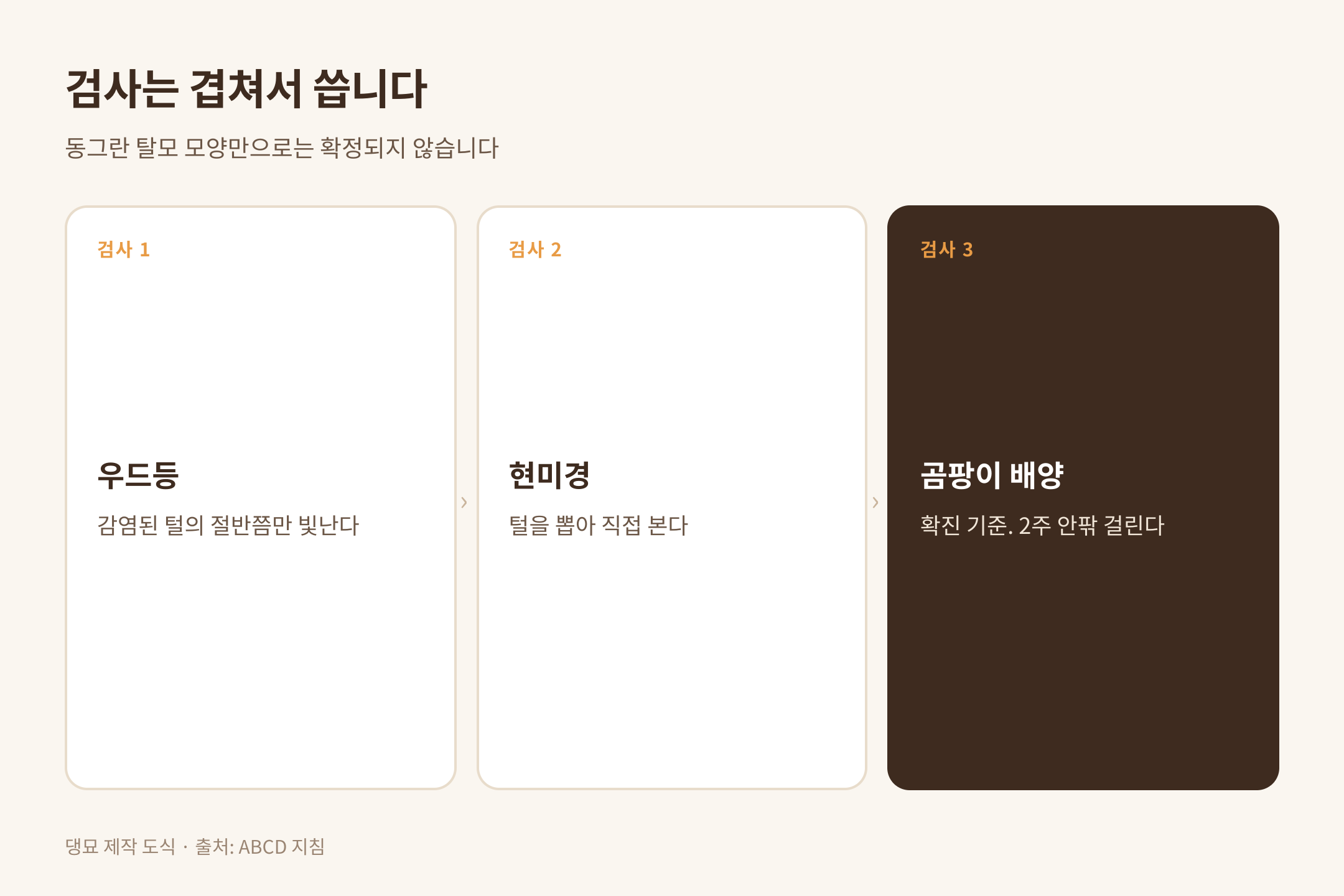곰팡이 피부병 검사 세 가지, 출처 ABCD 지침