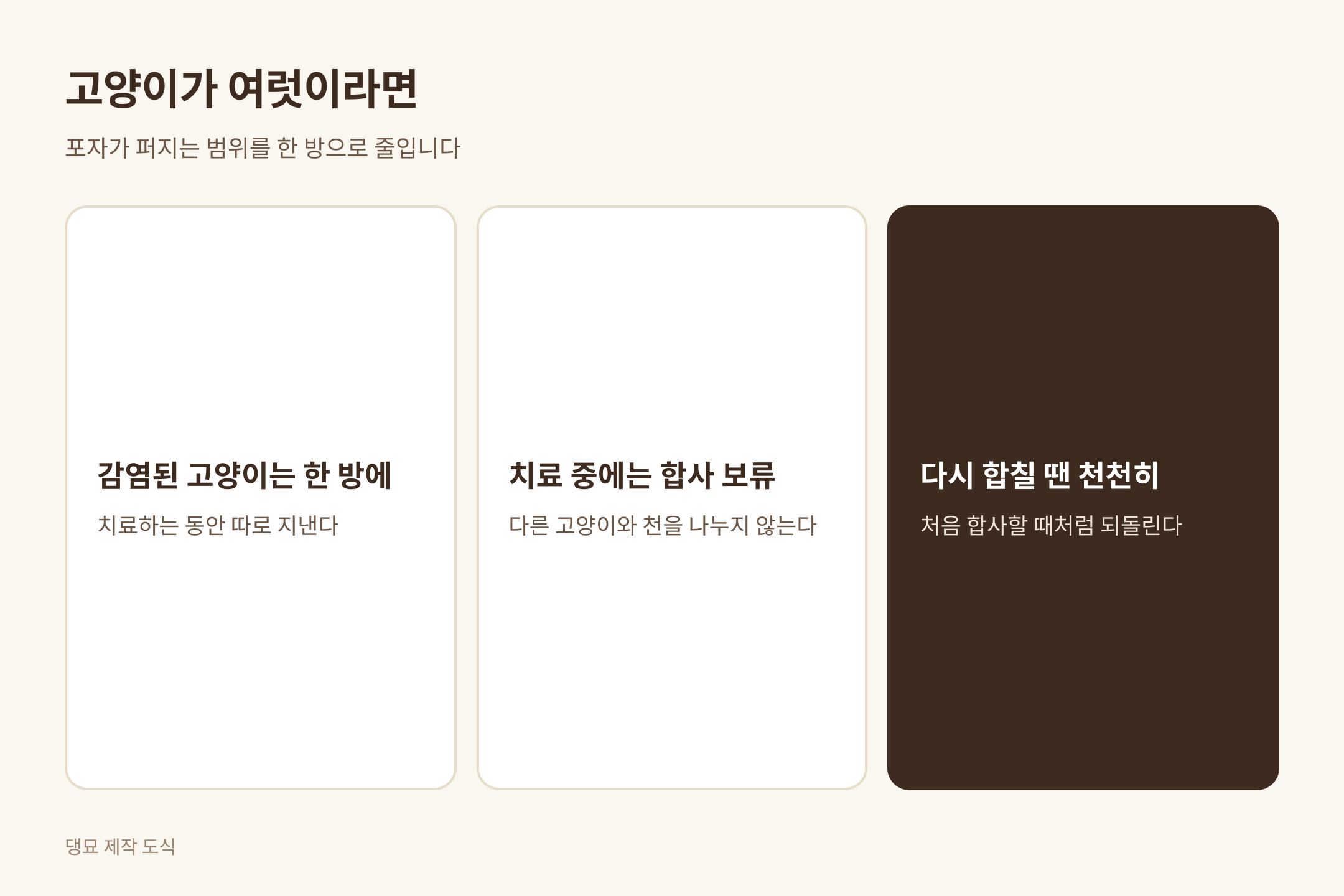 고양이가 여럿인 집의 치료 순서, 댕묘 제작 도식
