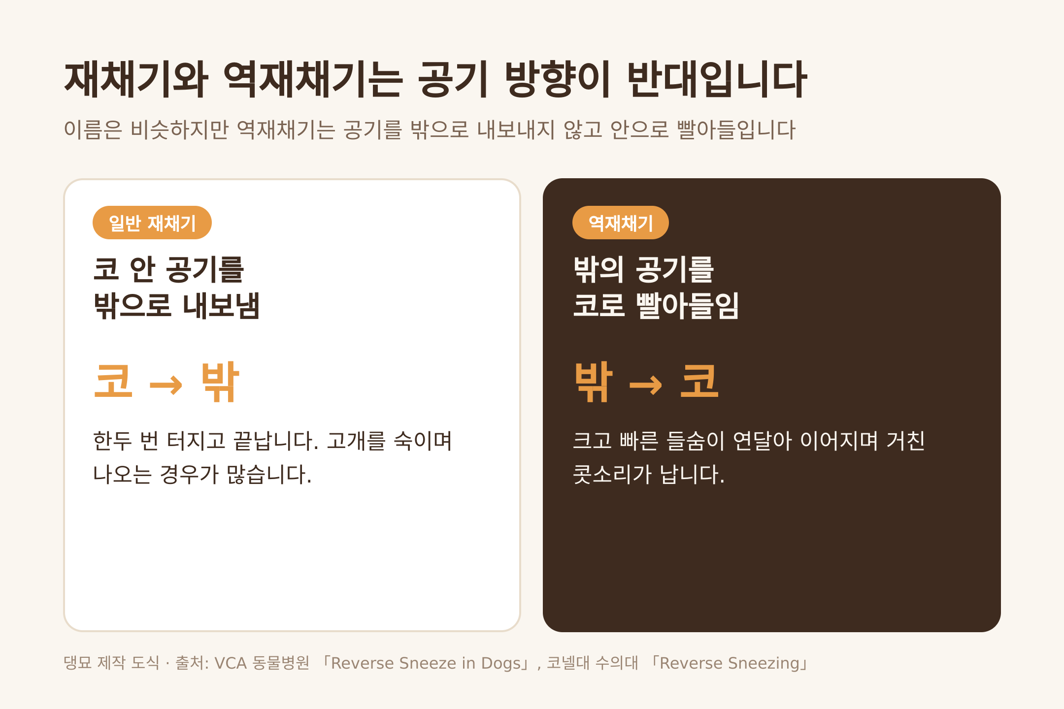 재채기와 역재채기는 공기 방향이 반대입니다 (댕묘 제작 도식)