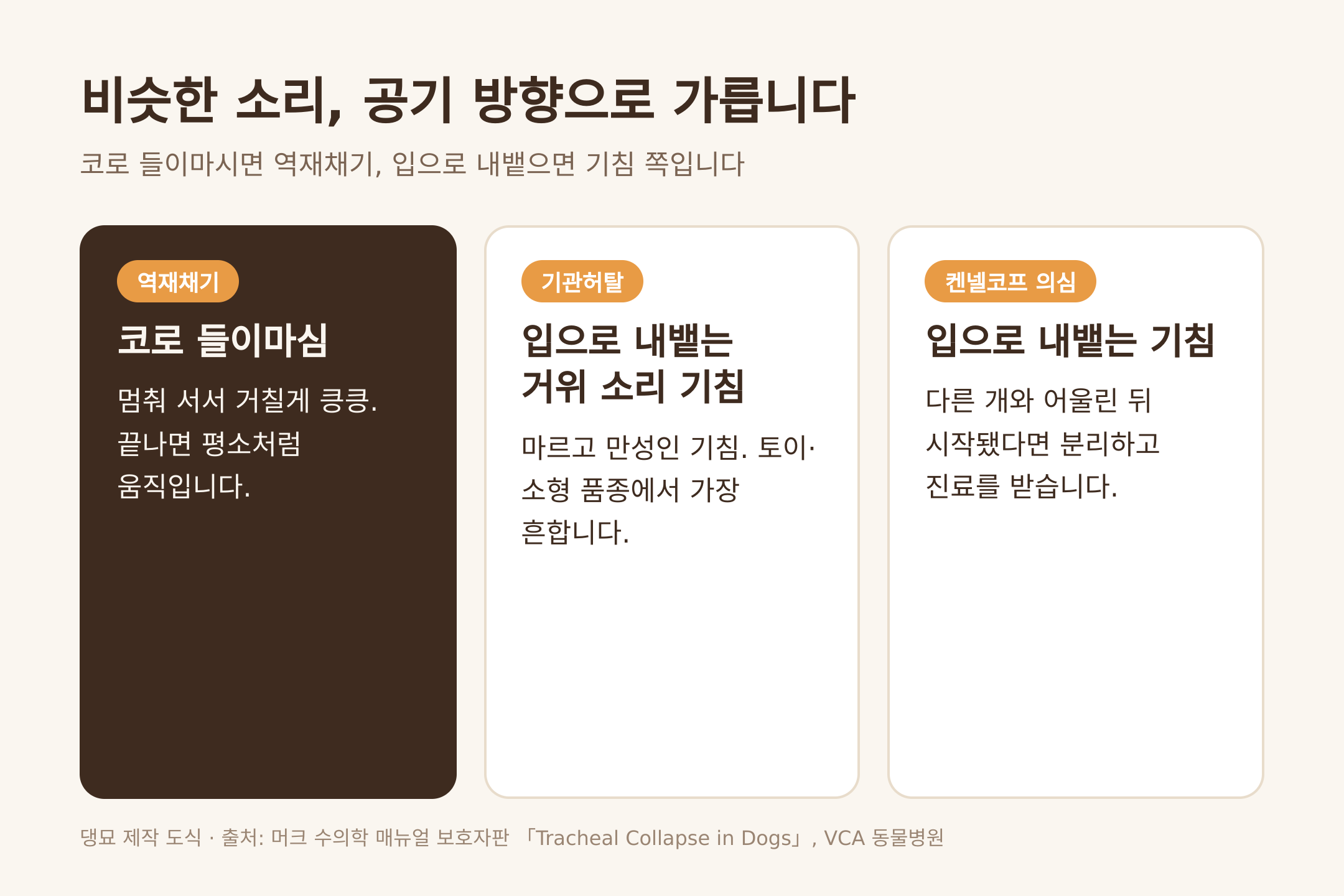 역재채기와 기침은 공기 방향으로 가릅니다 (댕묘 제작 도식)