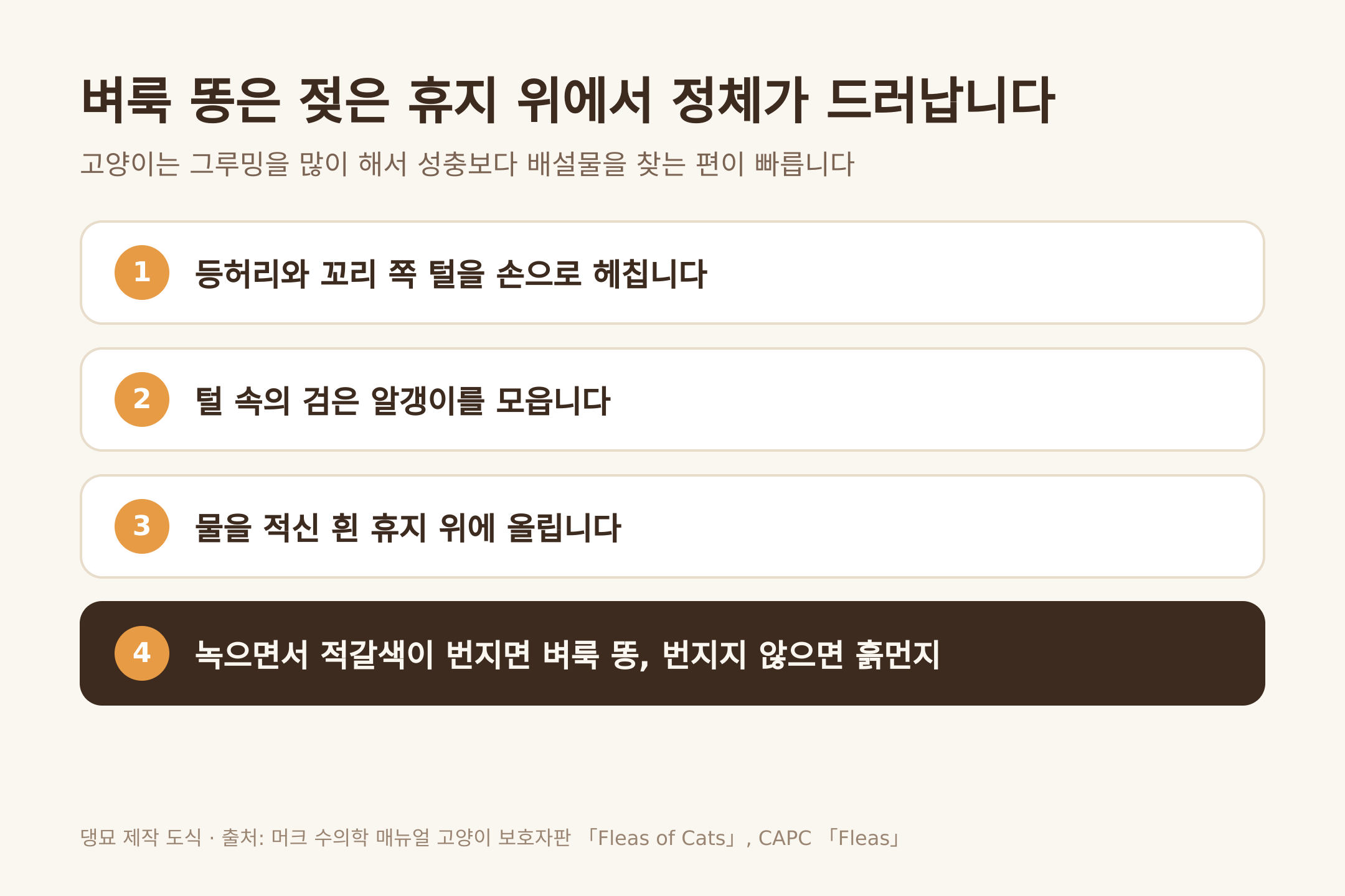 젖은 휴지로 벼룩 똥을 확인하는 순서 (댕묘 제작 도식)