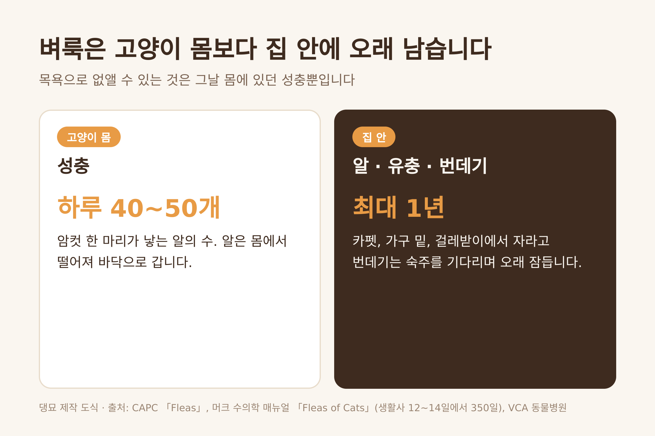성충은 몸에, 알과 번데기는 집 안에 남습니다 (댕묘 제작 도식)