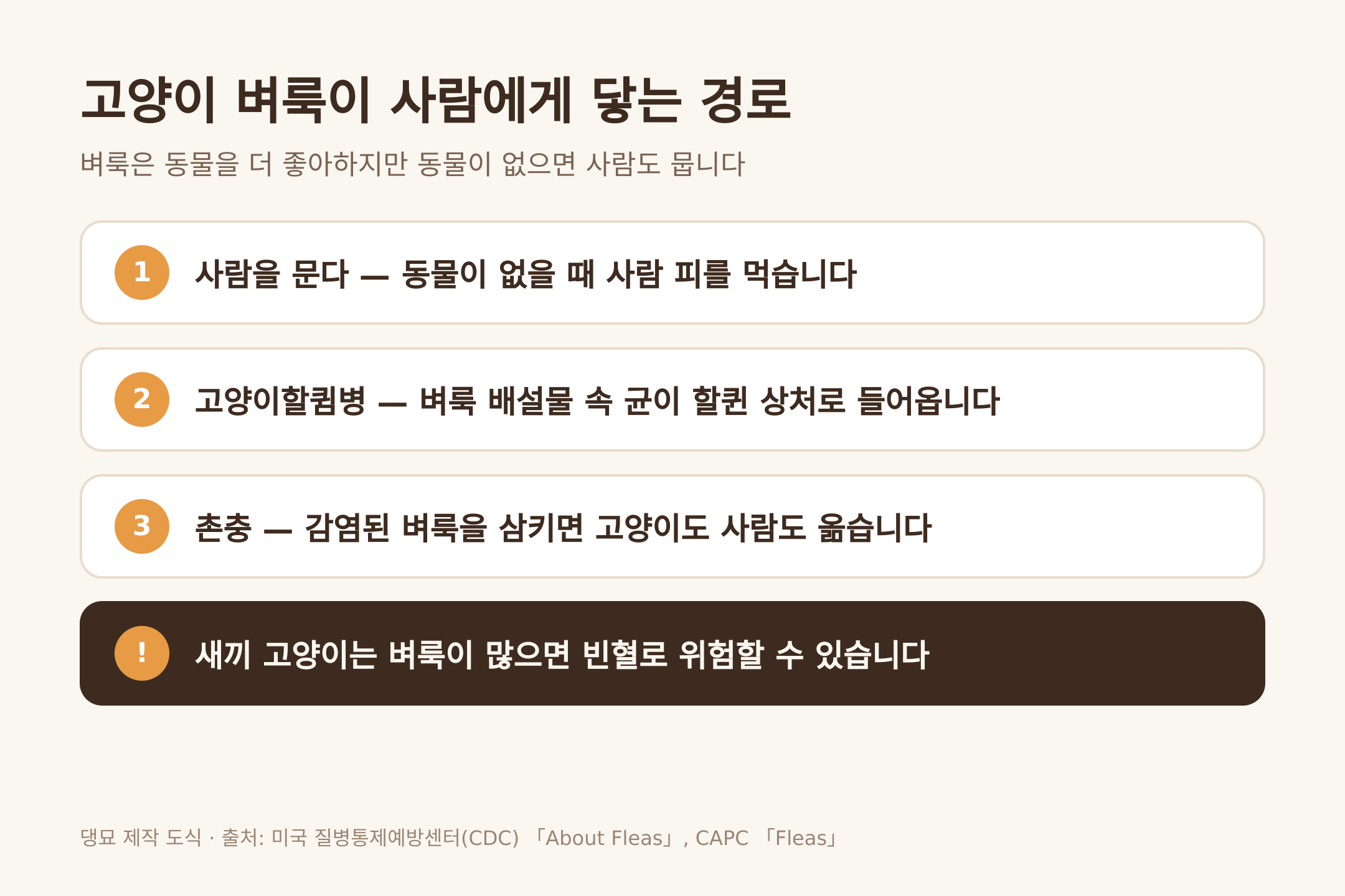 고양이 벼룩이 사람에게 닿는 경로 (댕묘 제작 도식)